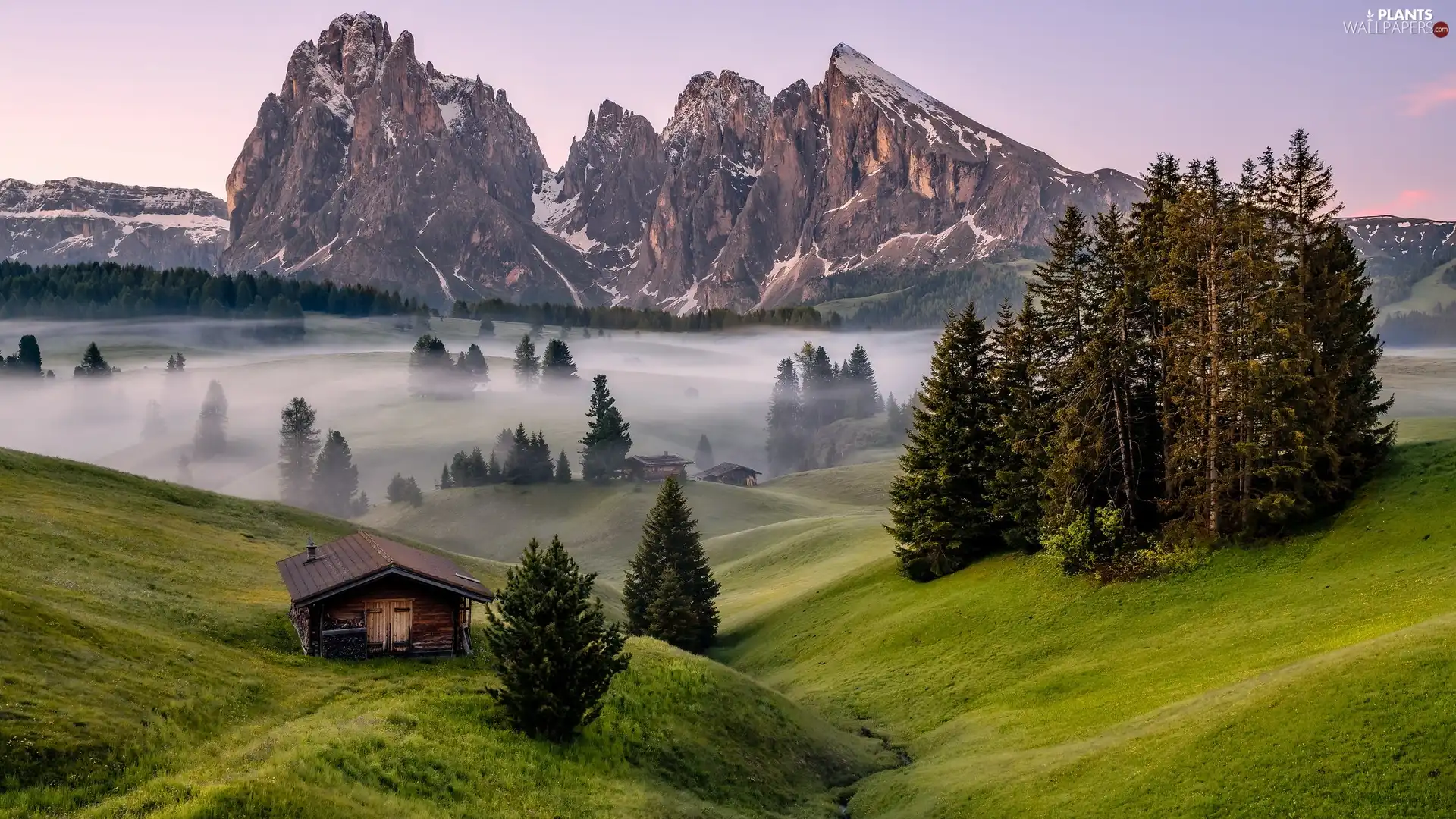 Seiser Alm Meadow, Sassolungo Mountains, wood, medows, Houses, Fog, Dolomites, Italy, Val Gardena Valley, Spruces