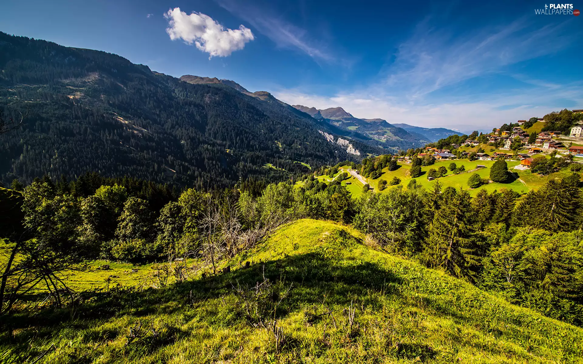 woods, Hill, viewes, Houses, Mountains, trees, Sky