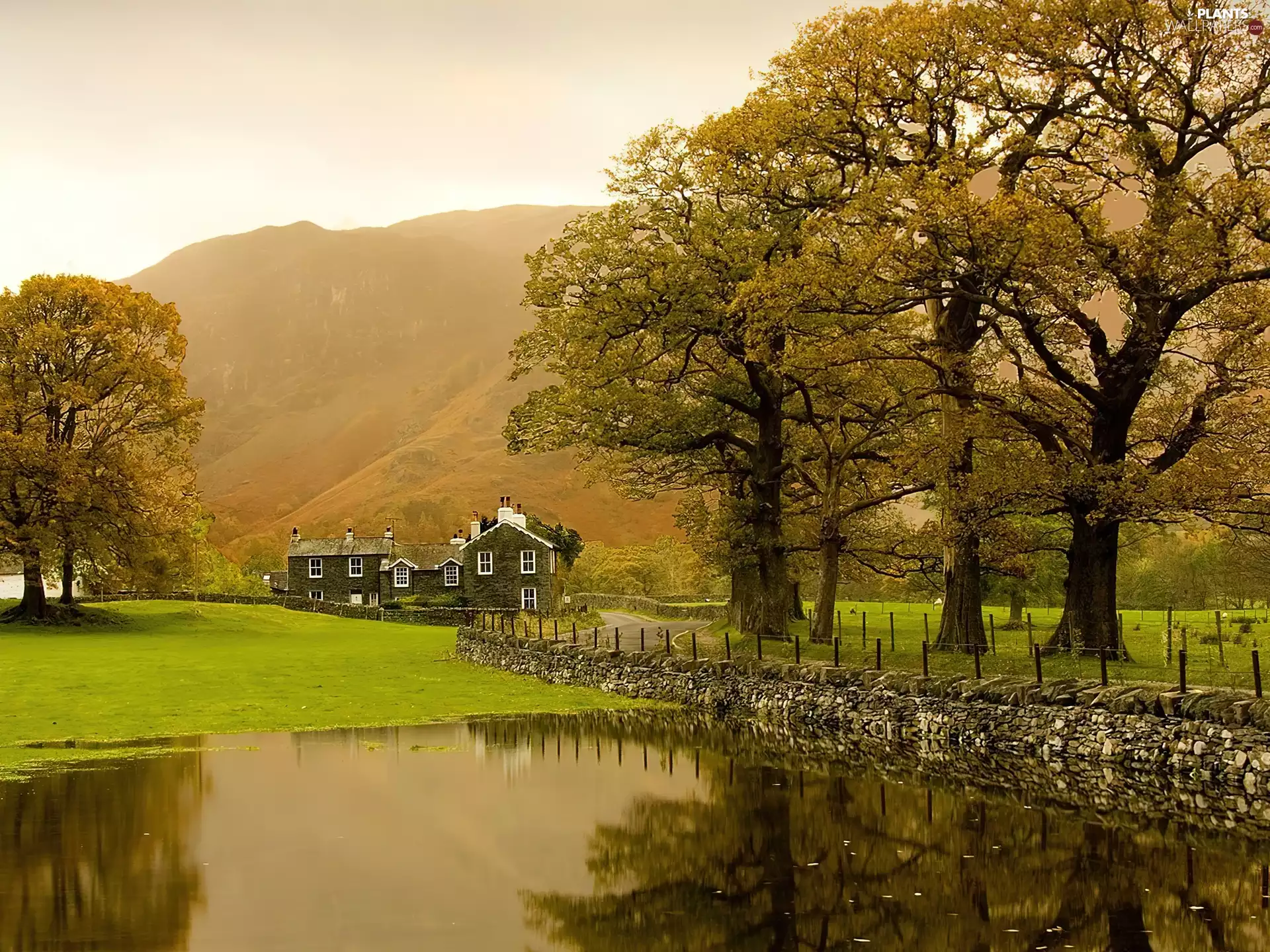 viewes, Houses, wall, trees, lake