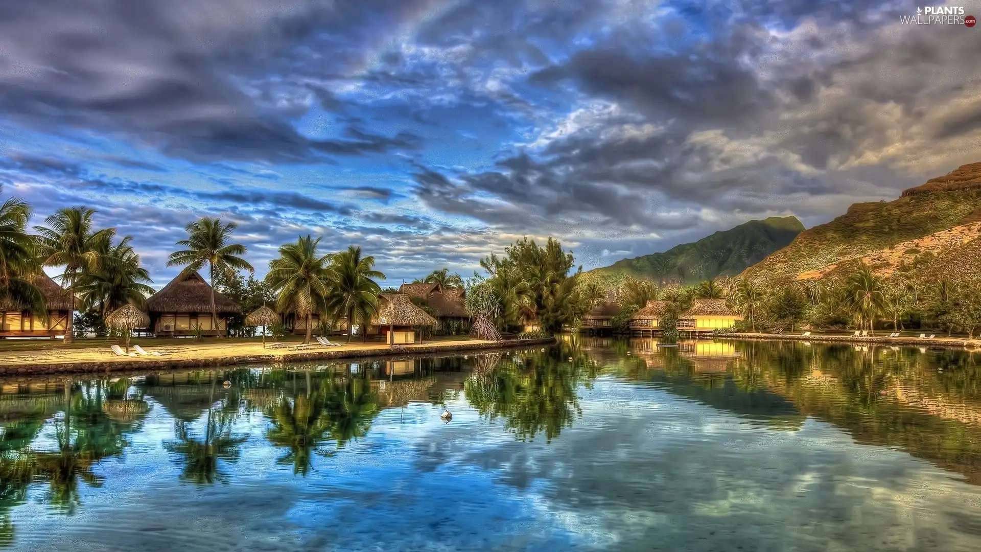 Houses, water, Mountains, Palms, clouds