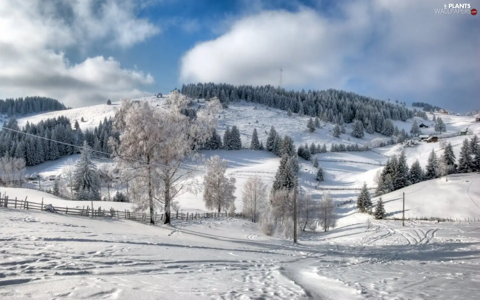 trees, Mountains, Houses, winter, viewes, woods