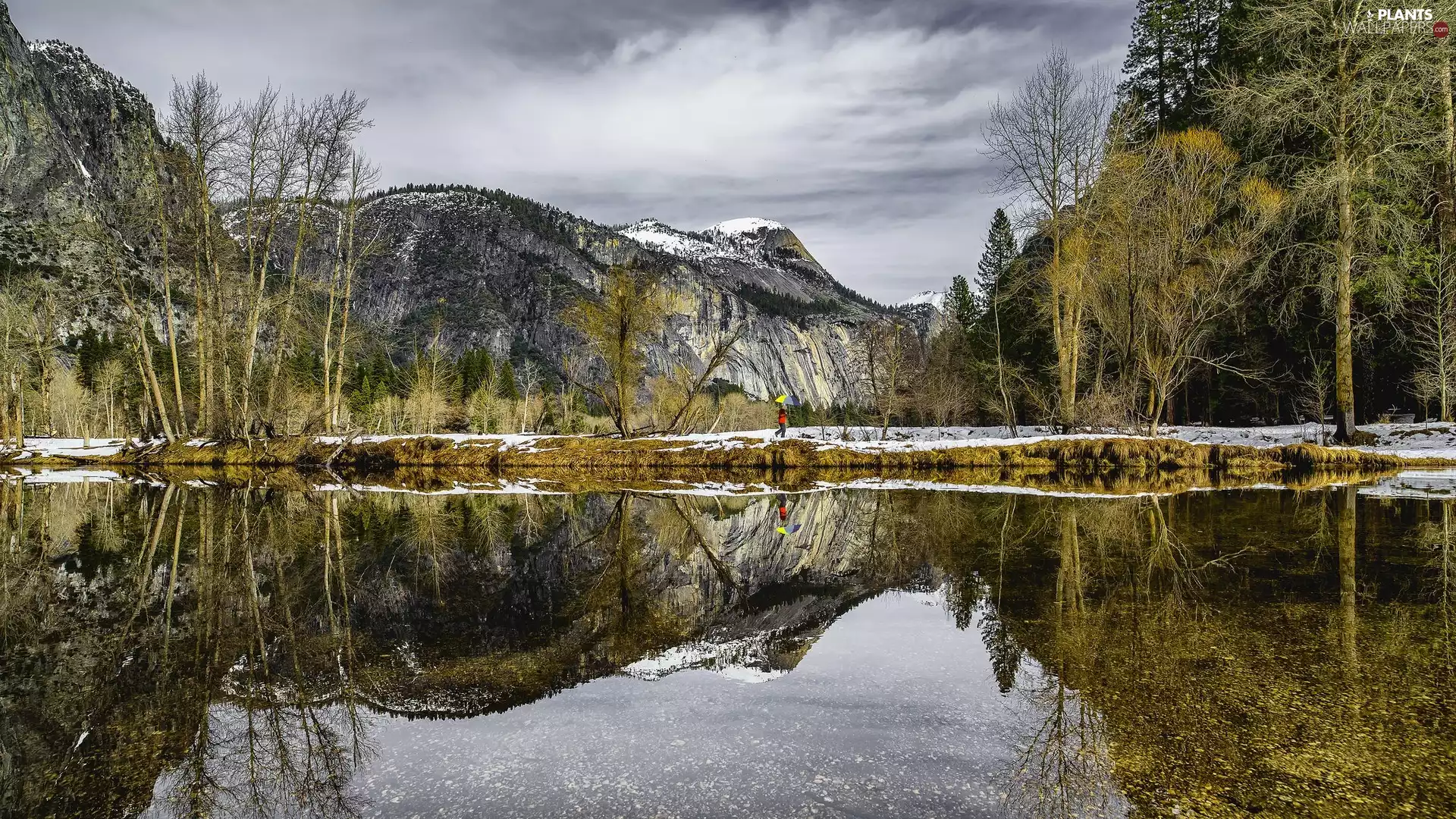 California, The United States, Yosemite National Park, Mountains, Human, reflection, trees, viewes, Merced River