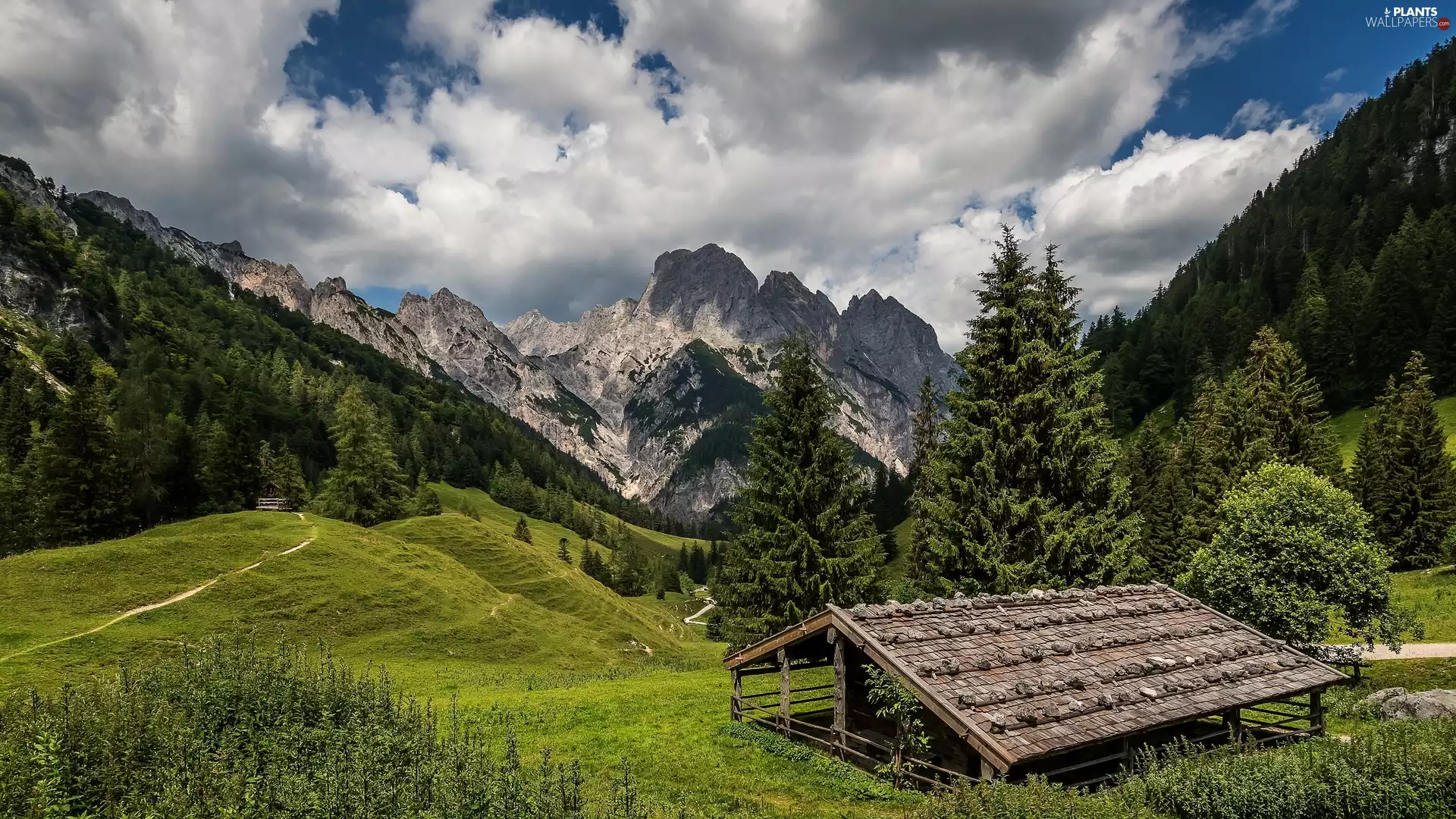 Path, clouds, viewes, wooden, trees, forest, Mountains, hut