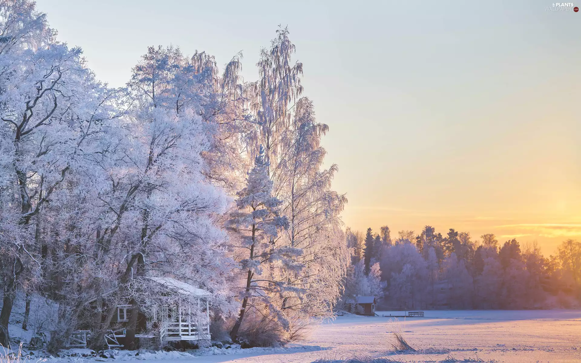 huts, car in the meadow, viewes, wood, winter, trees, forest