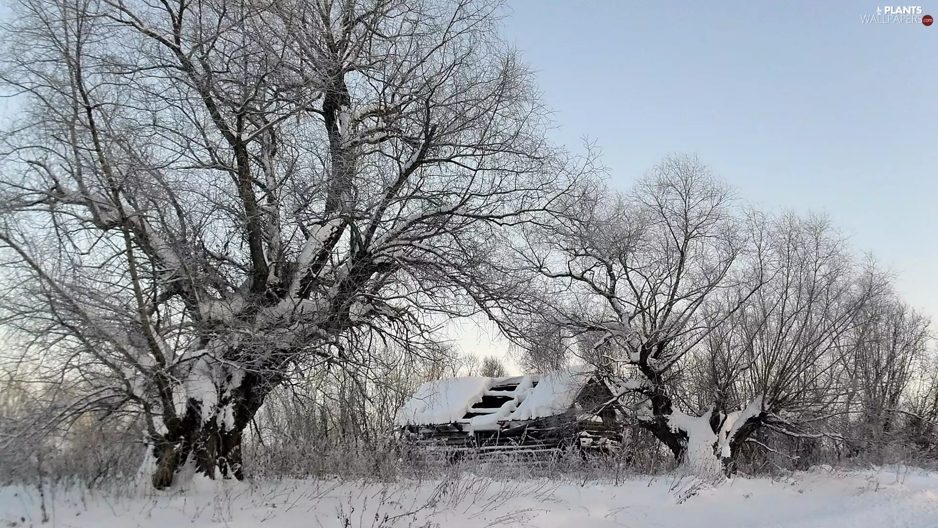 ruin, huts, trees, viewes, Snowy
