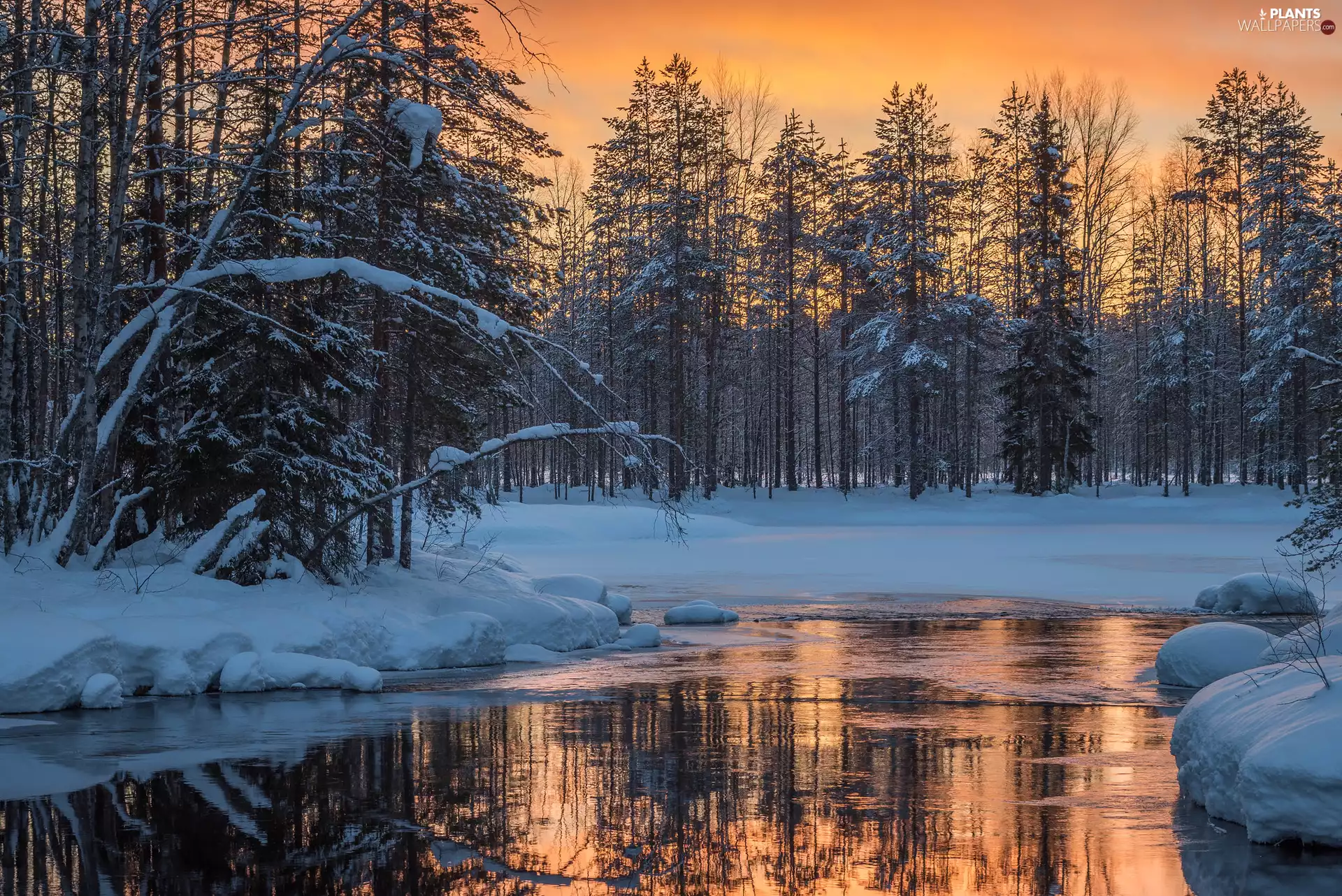 Icecream, trees, Great Sunsets, viewes, Sky, River, winter, snow