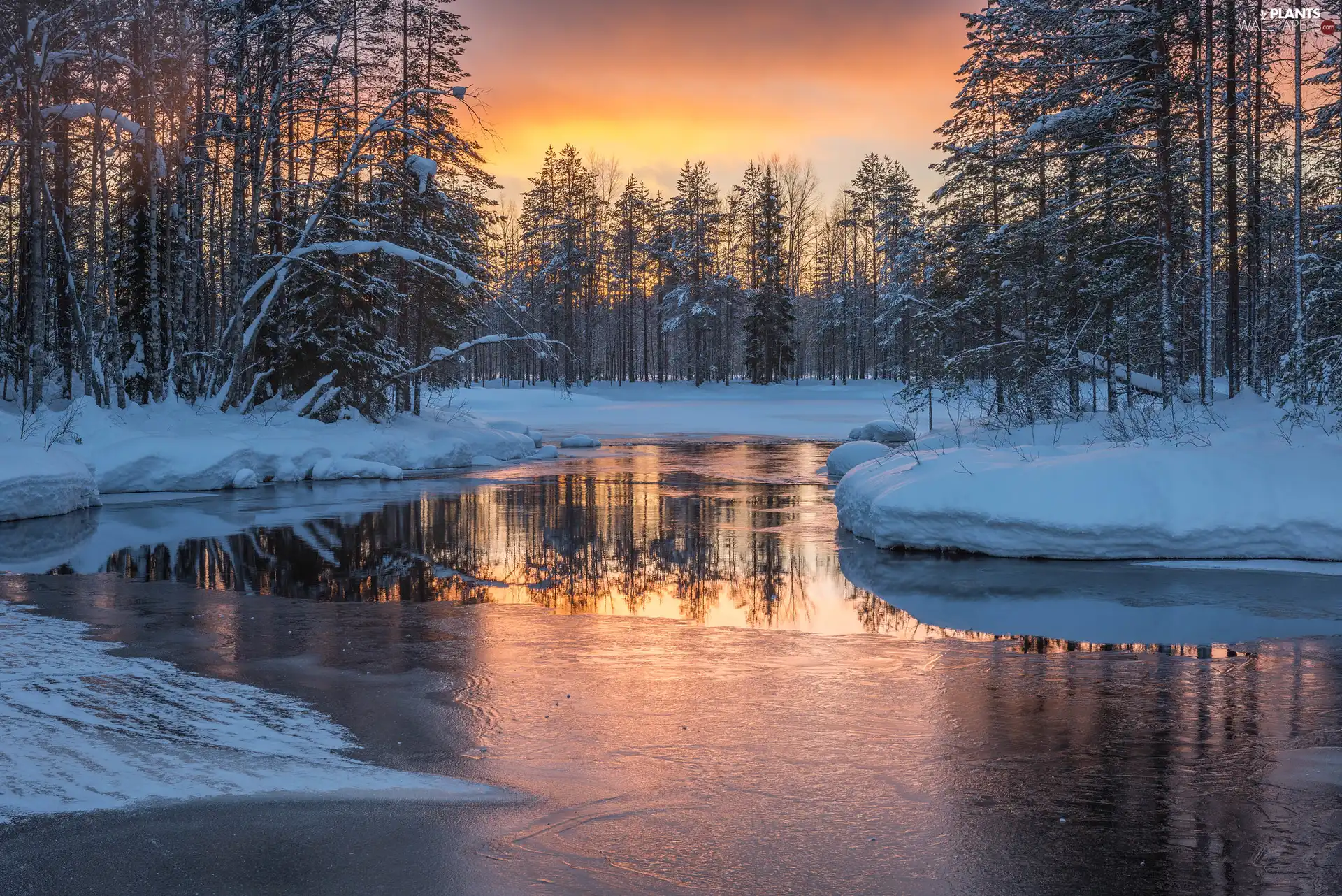 Icecream, trees, Great Sunsets, viewes, snow, River, winter, forest