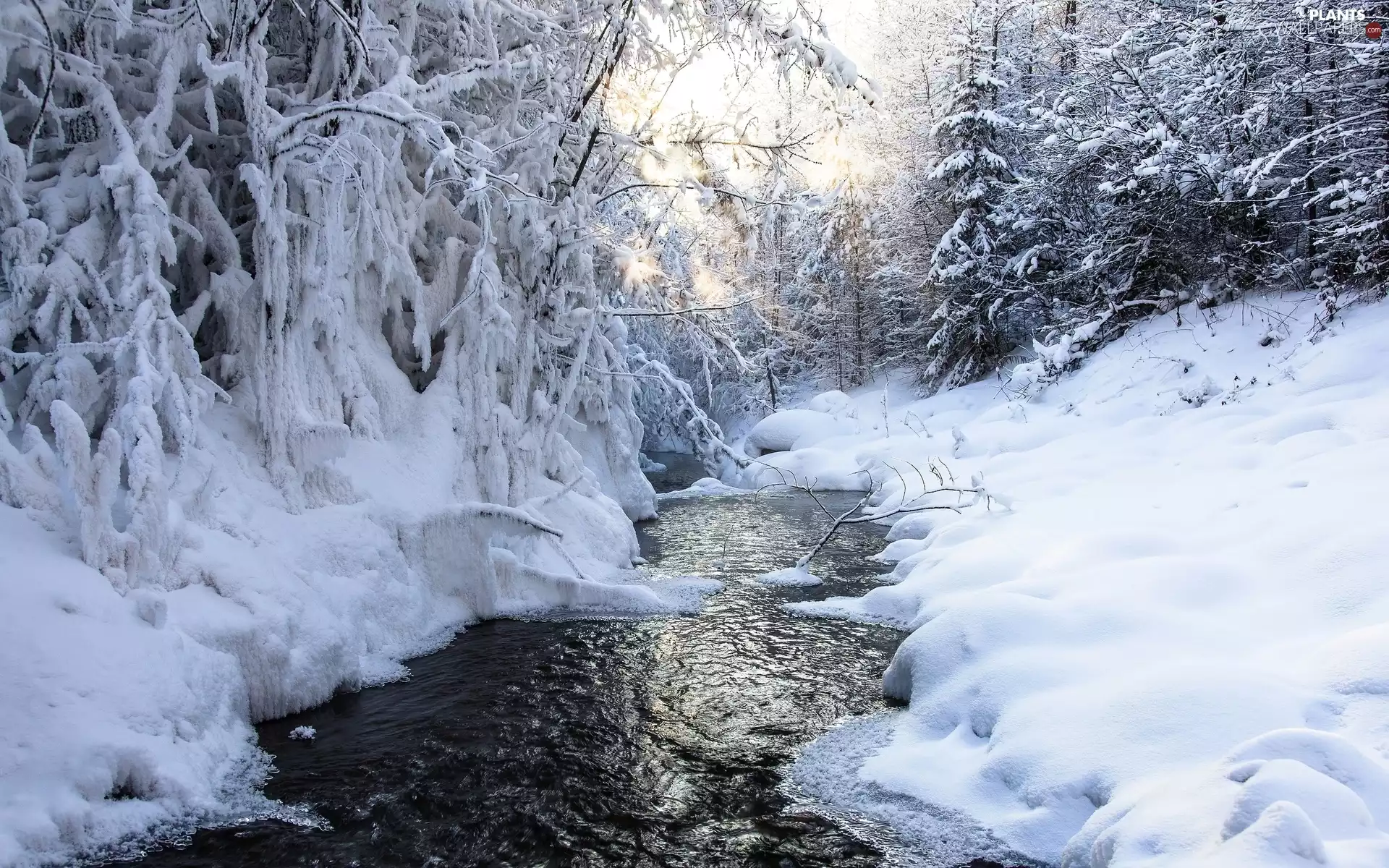 viewes, winter, River, Icecream, snow, trees