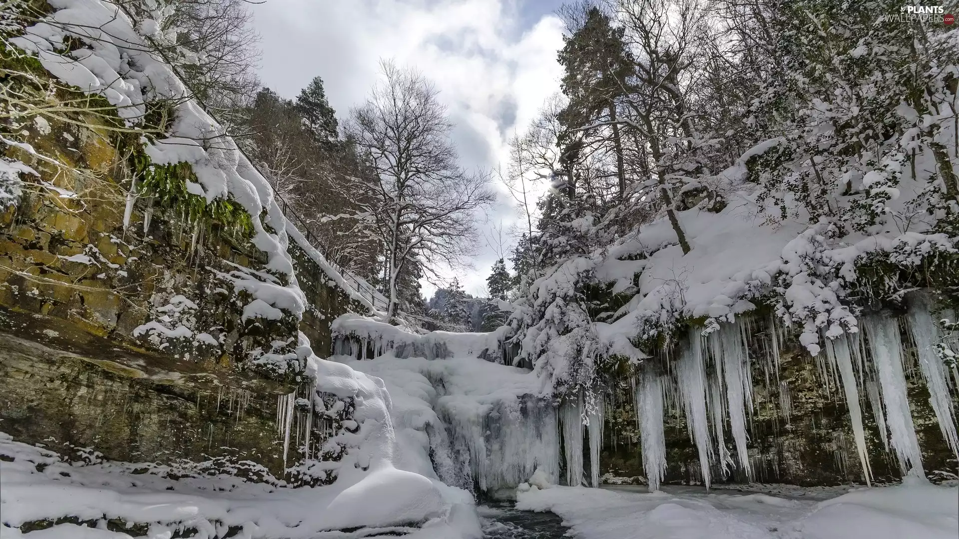 trees, winter, snow, icicle, viewes, rocks