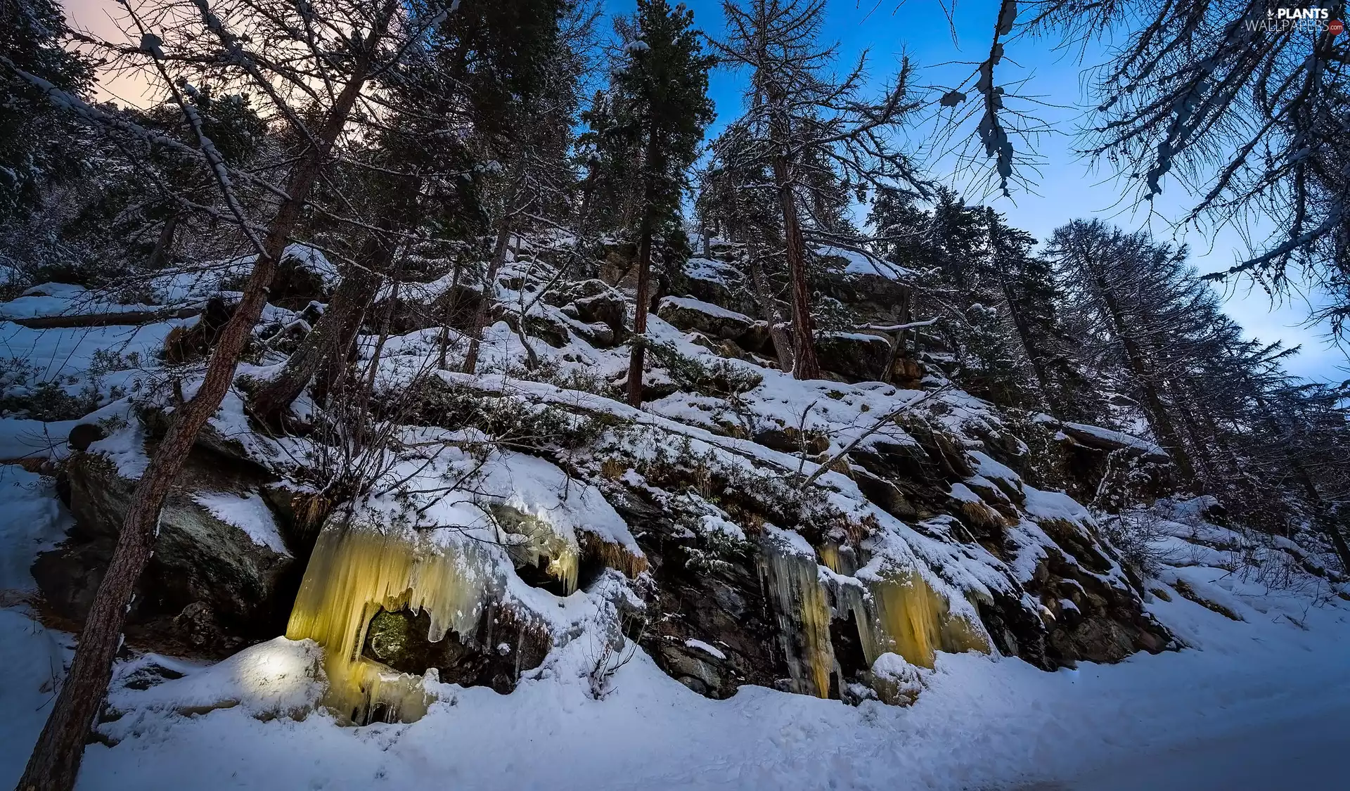 viewes, winter, Rocks, icicle, forest, trees