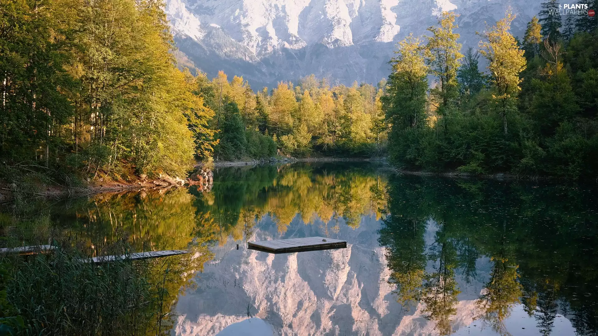 trees, lake, forest, illuminated, Mountains, viewes, reflection