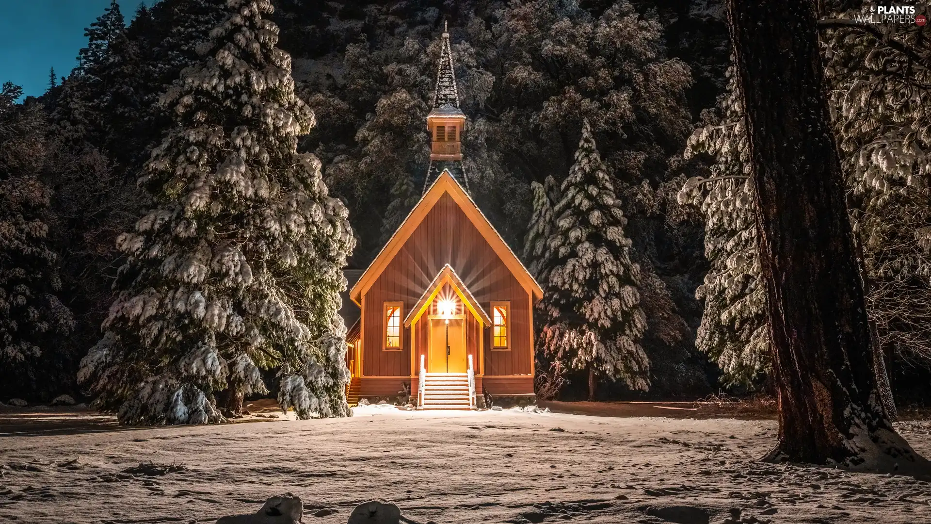 church, forest, viewes, State of California, illuminated, winter, trees, The United States, Yosemite National Park, chapel