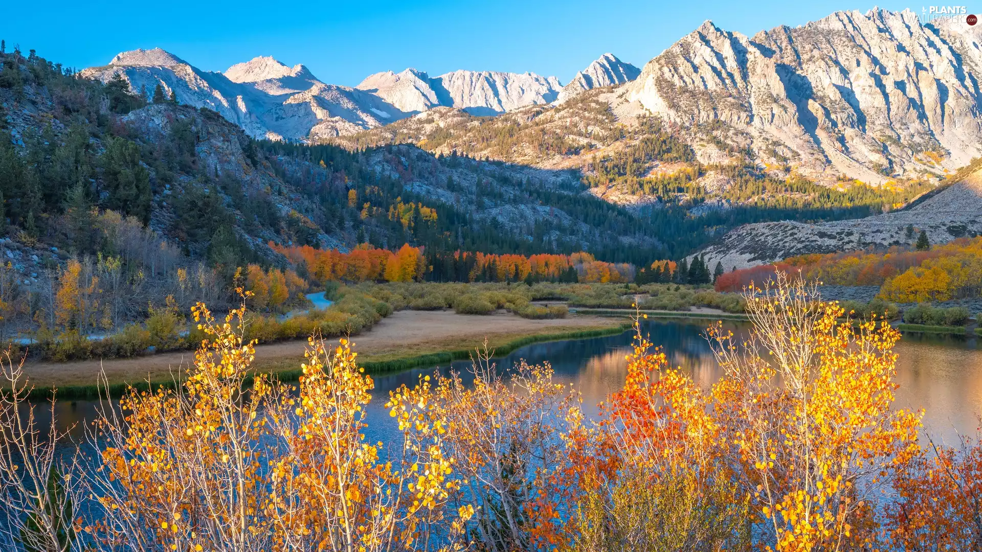 peaks, Mountains, trees, illuminated, autumn, lake, viewes