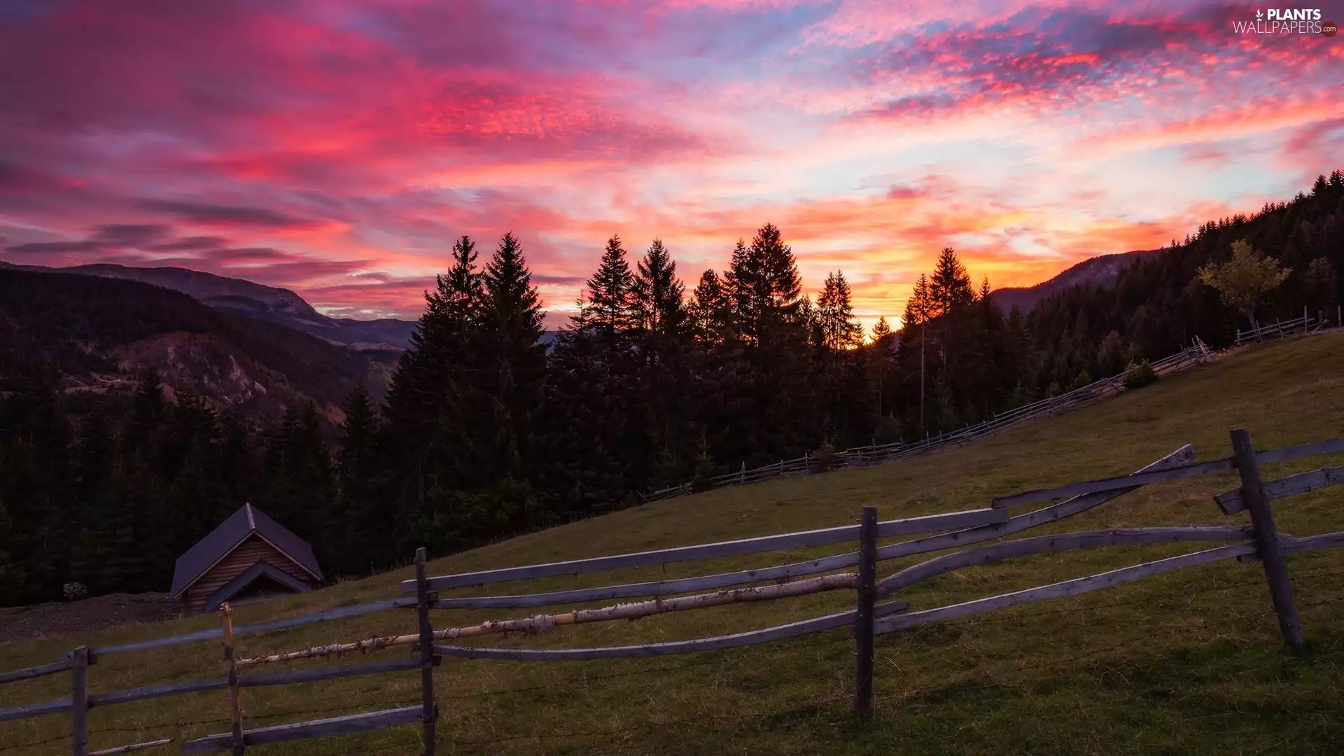 trees, viewes, Great Sunsets, house, fence, woods, Mountains, car in the meadow