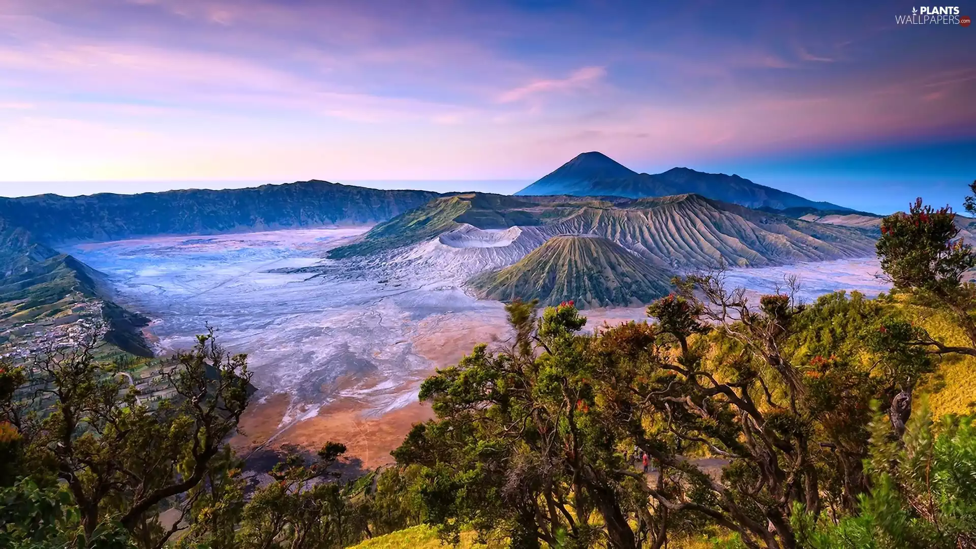 viewes, indonesia, Bromo, trees, mountains