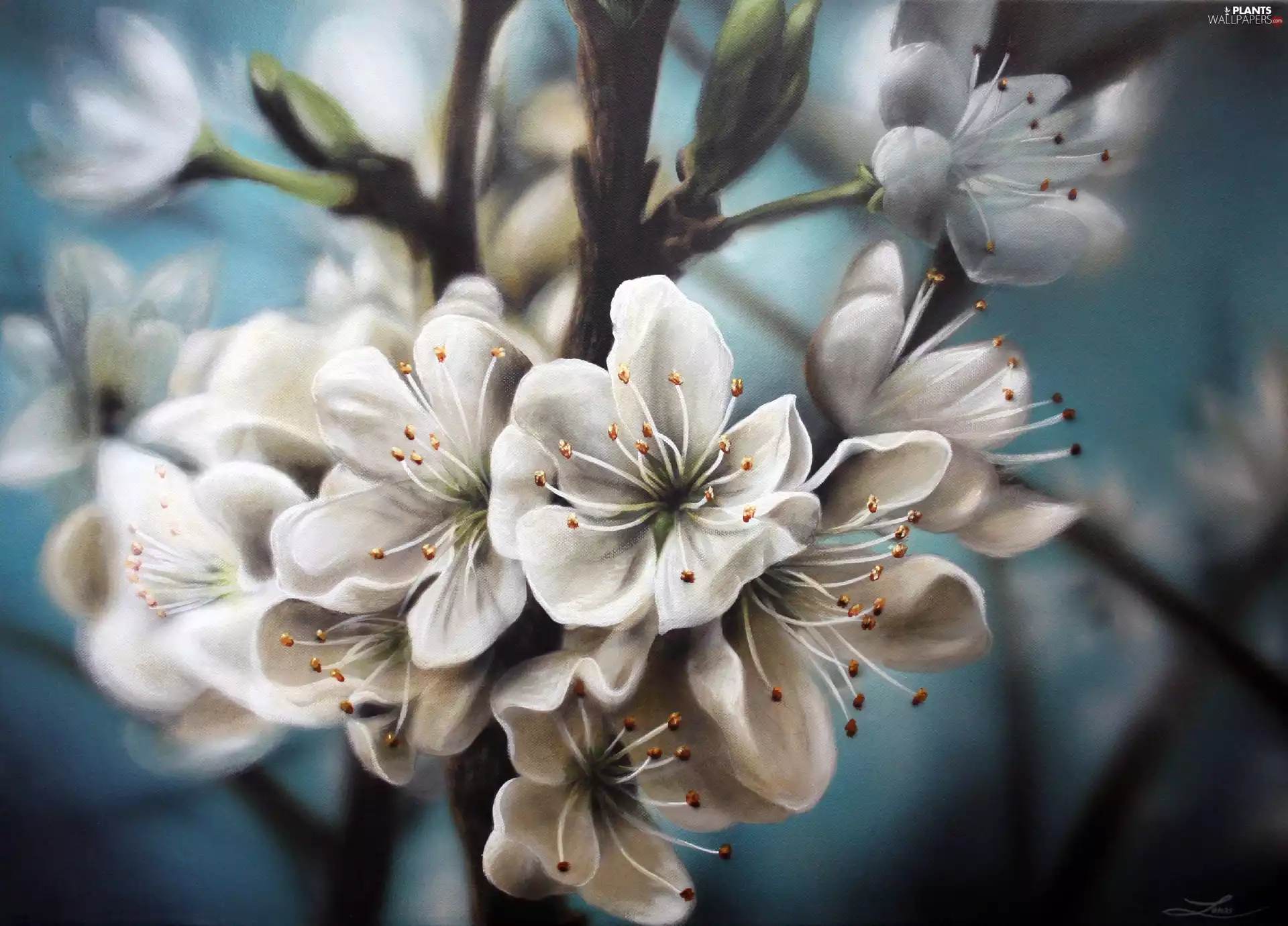 inflorescence, trees