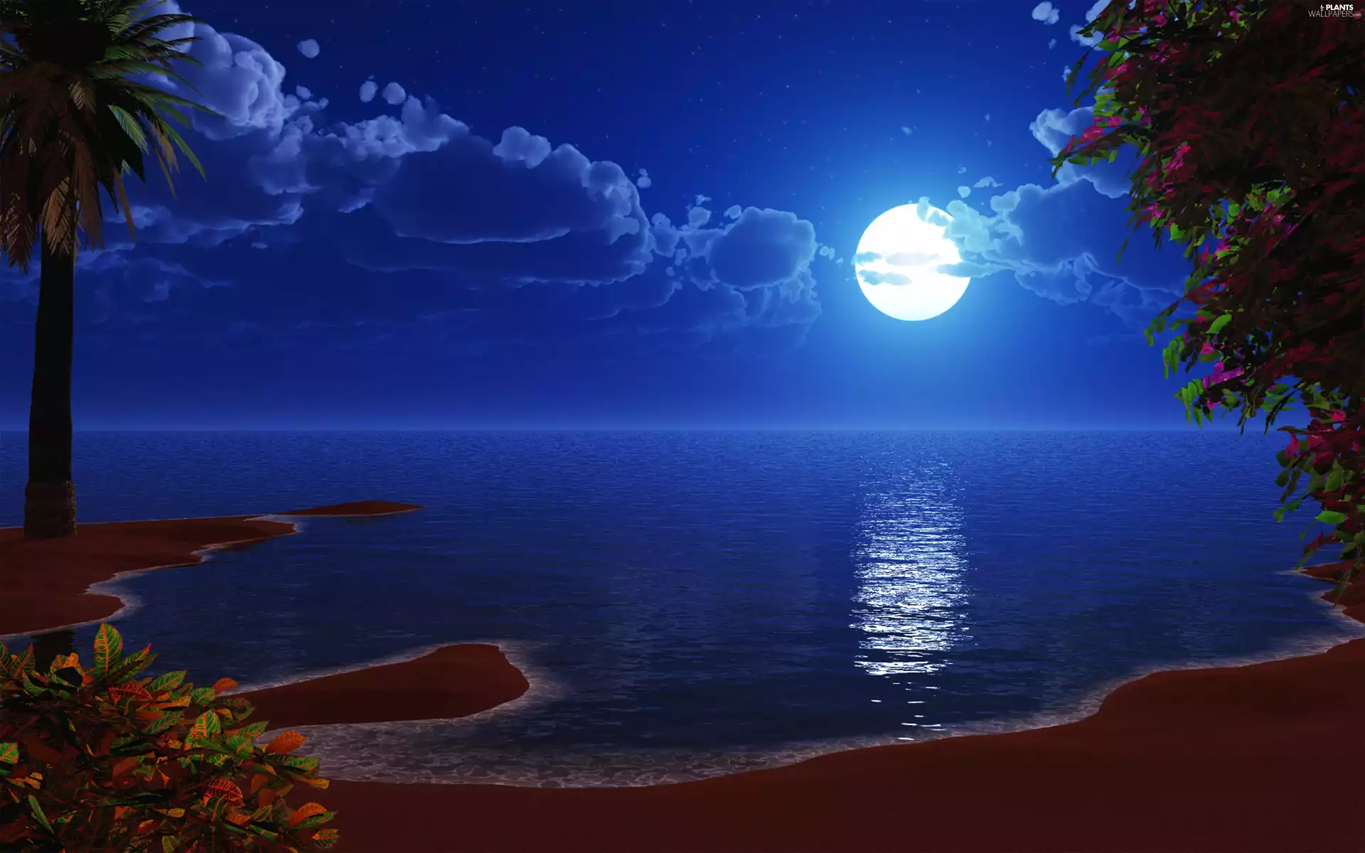 Island, moon, Beaches