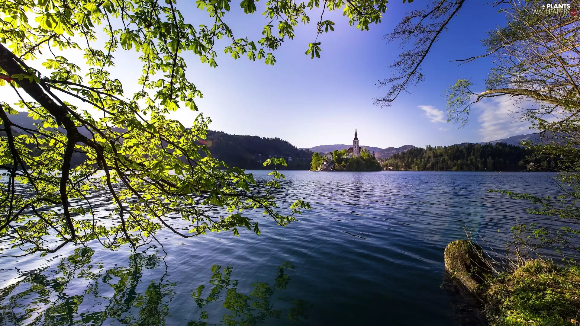 Lake Bled, Church of the Assumption of the Virgin Mary, branch pics, Mountains, viewes, Blejski Otok Island, Slovenia, trees