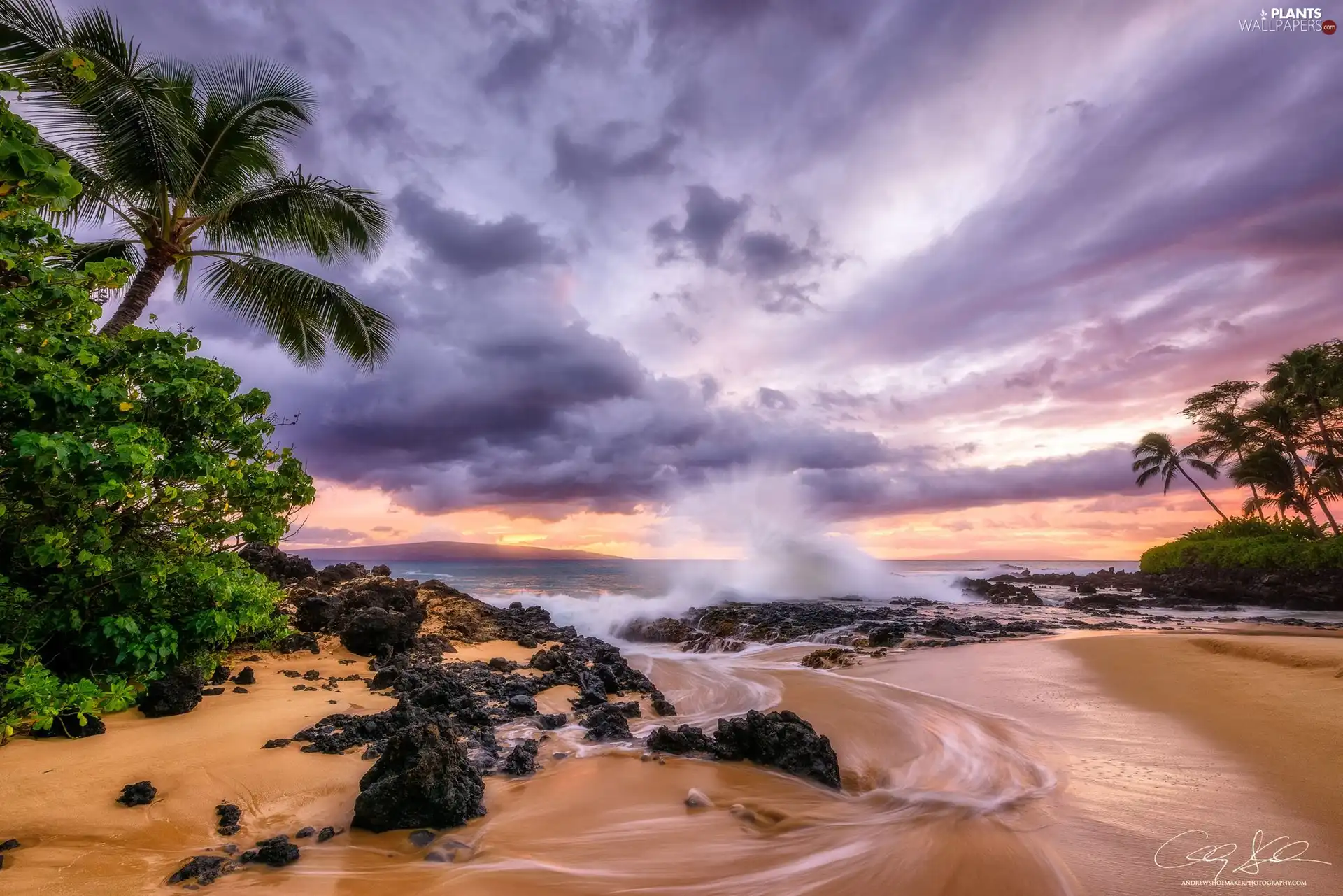 sea, Aloha State Hawaje, Palms, clouds, Waves, Maui Island