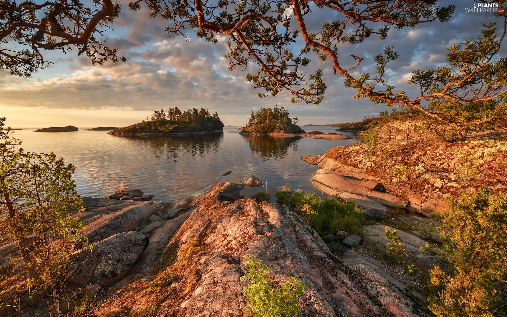 Islets, trees, Russia, viewes, Karelia, rocks, Lake Ladoga, branch pics