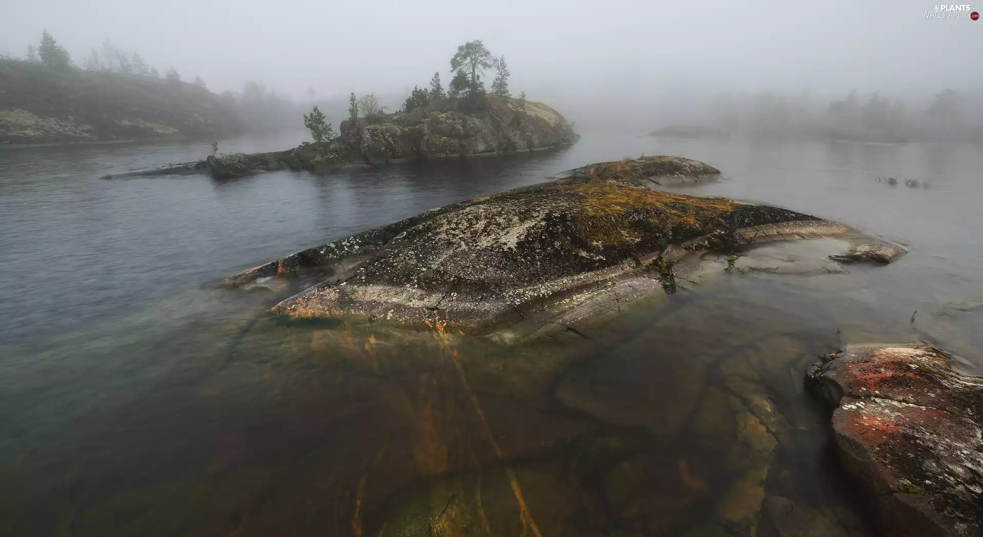 Islets, Lake Ladoga, Stones, rocks, Karelia, Russia, viewes, Fog, trees