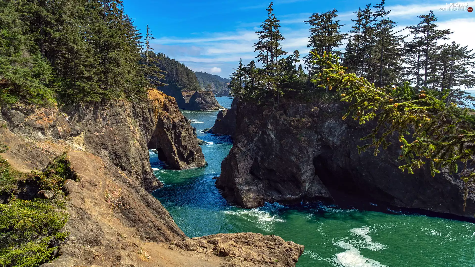 trees, sea, Rocky, Islets, viewes, rocks