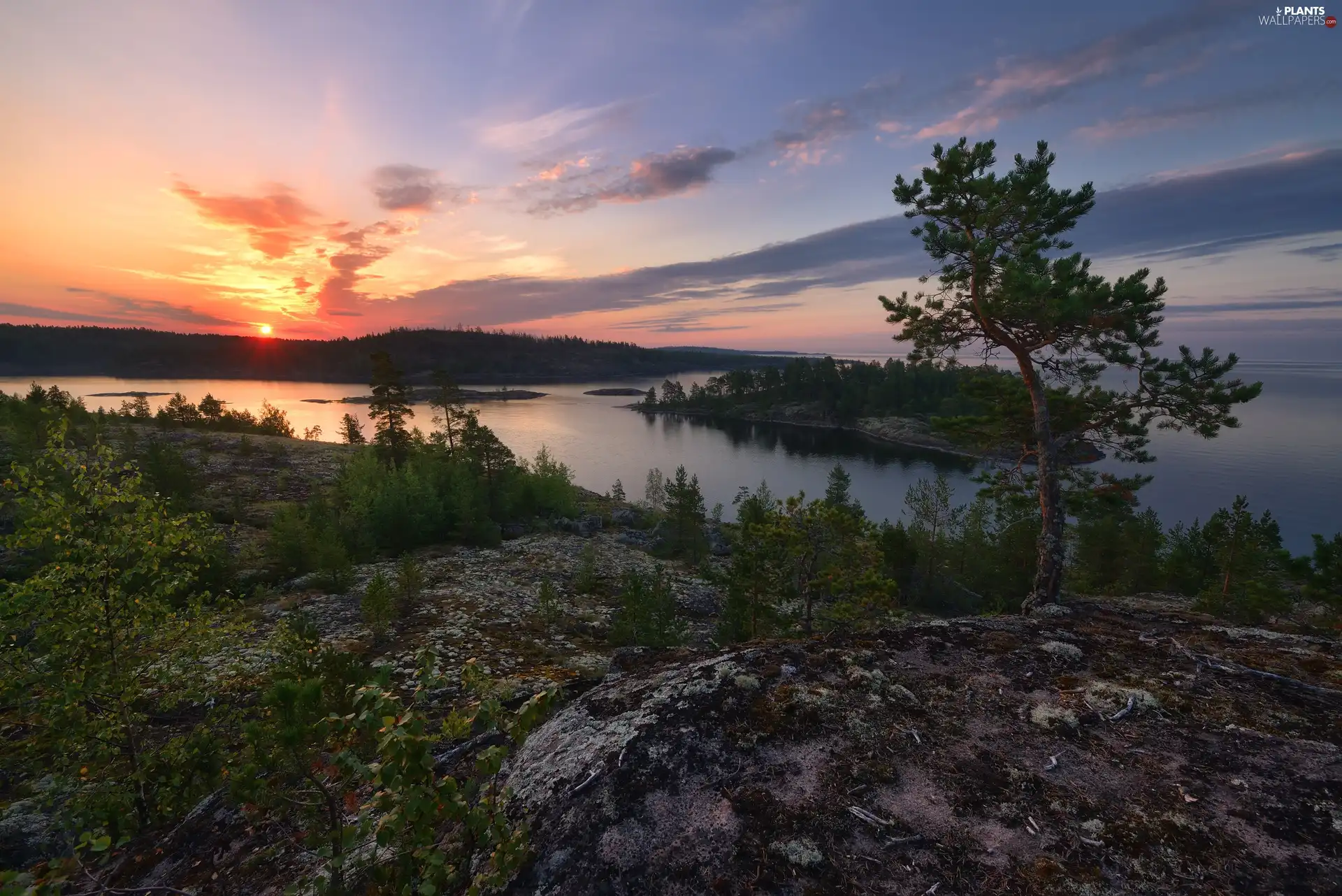 Islets, trees, Leningrad Oblast, viewes, Lake Ladoga, Great Sunsets, Russia