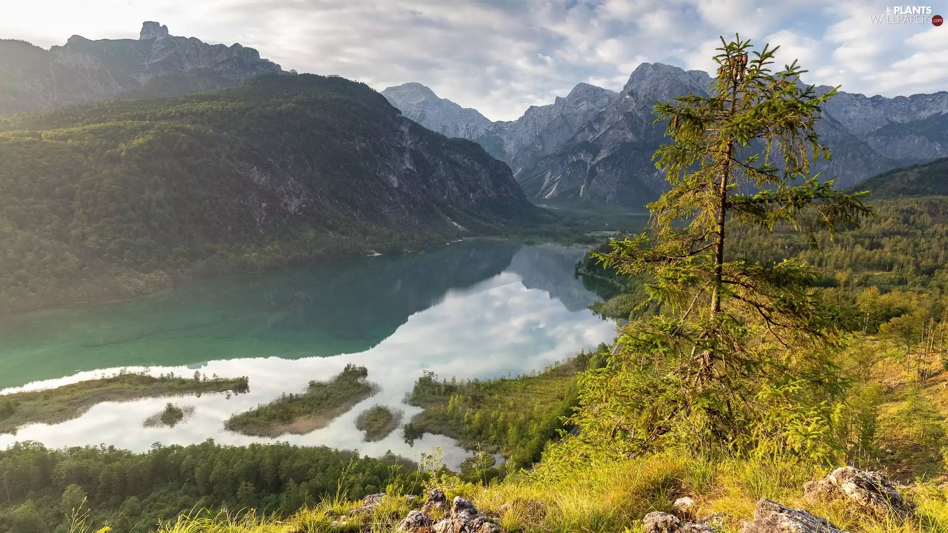 forest, lake, viewes, Islets, Mountains, trees, clouds