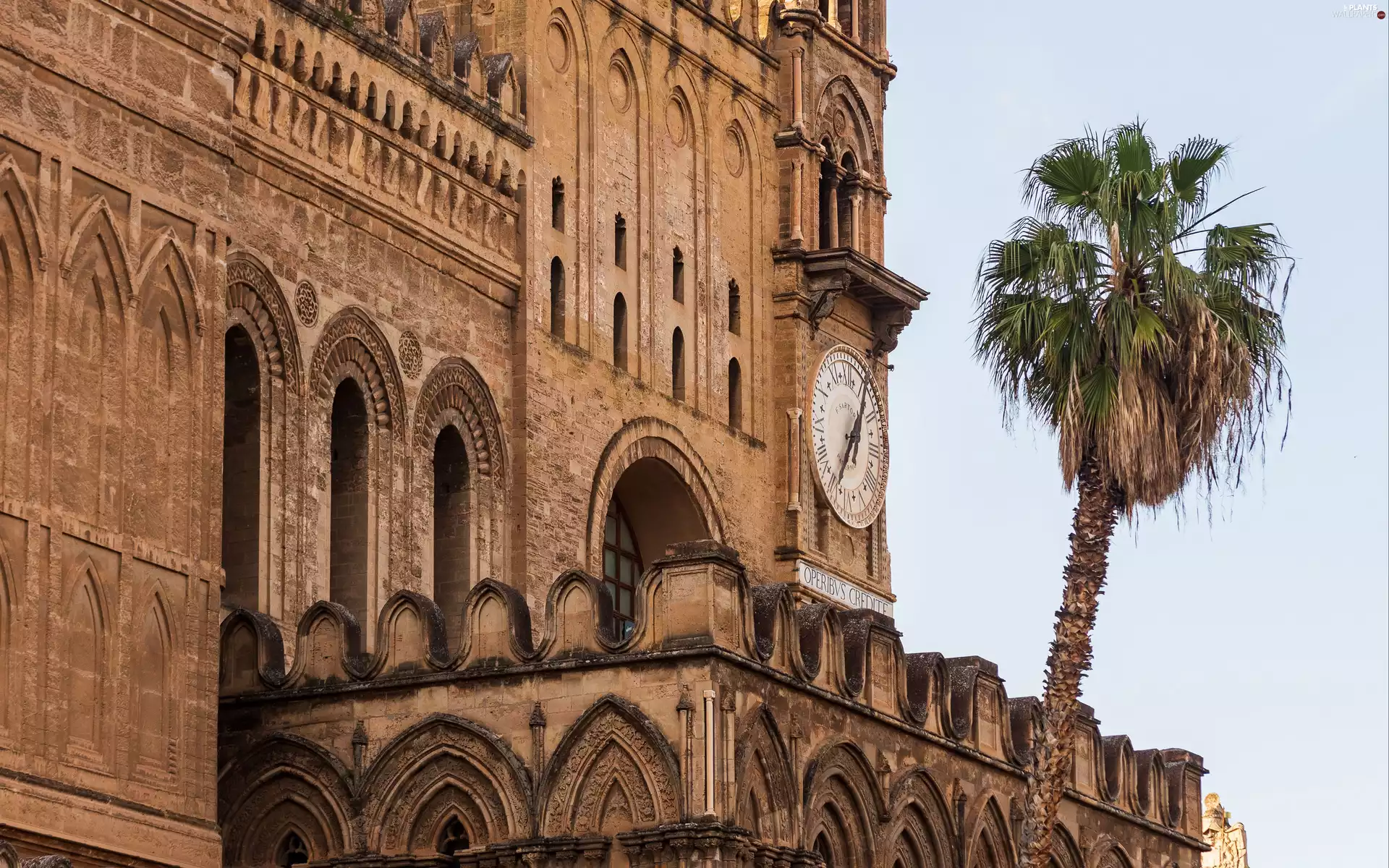 Palm, chair, Sicilia, Italy, Palermo, Clock