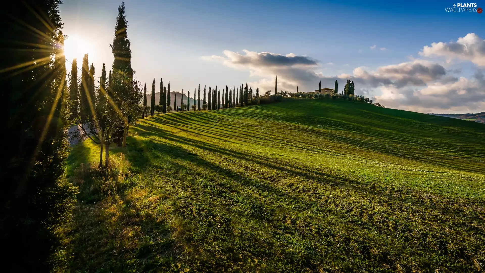 house, Tuscany, trees, rays of the Sun, viewes, Italy, The Hills, clouds, field, cypresses