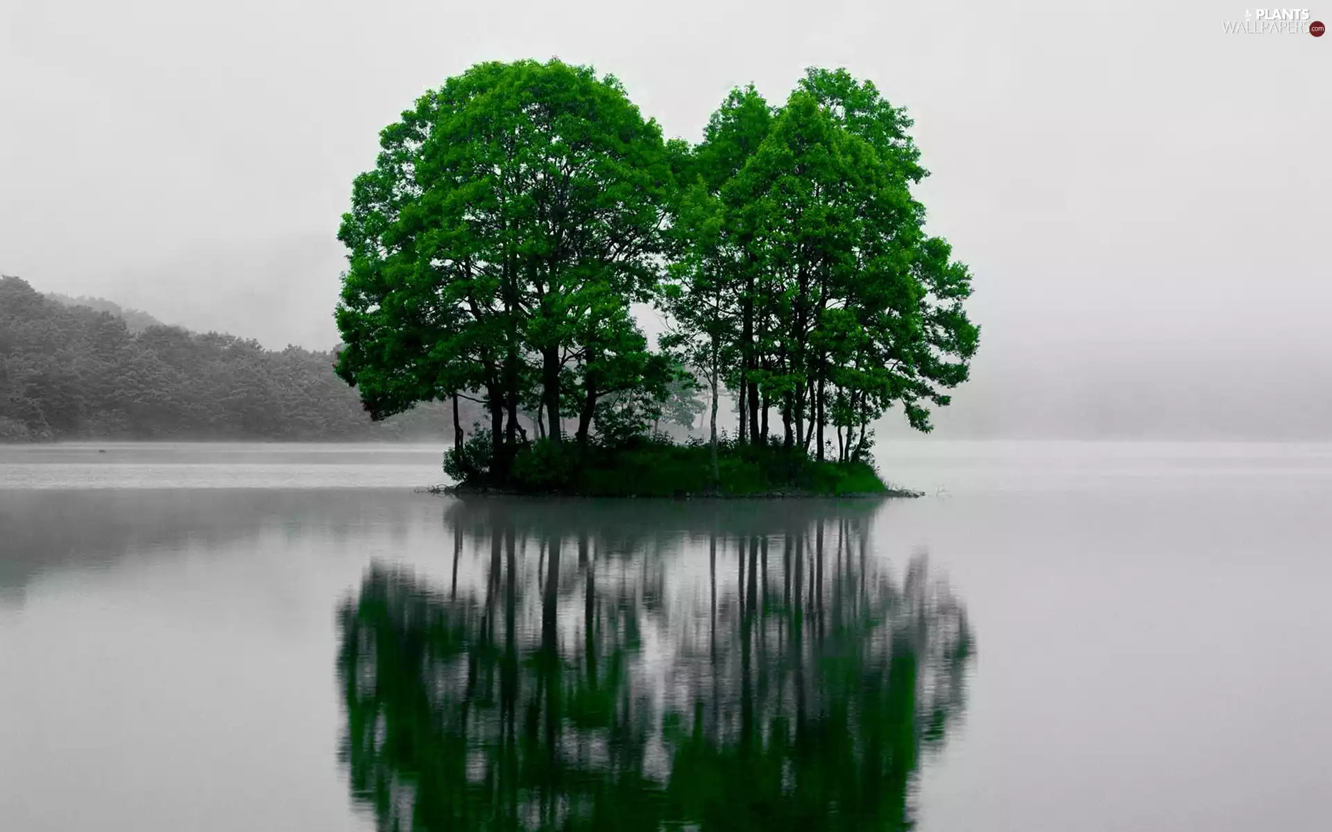 trees, lake, Sohar, Japan, viewes, Islet