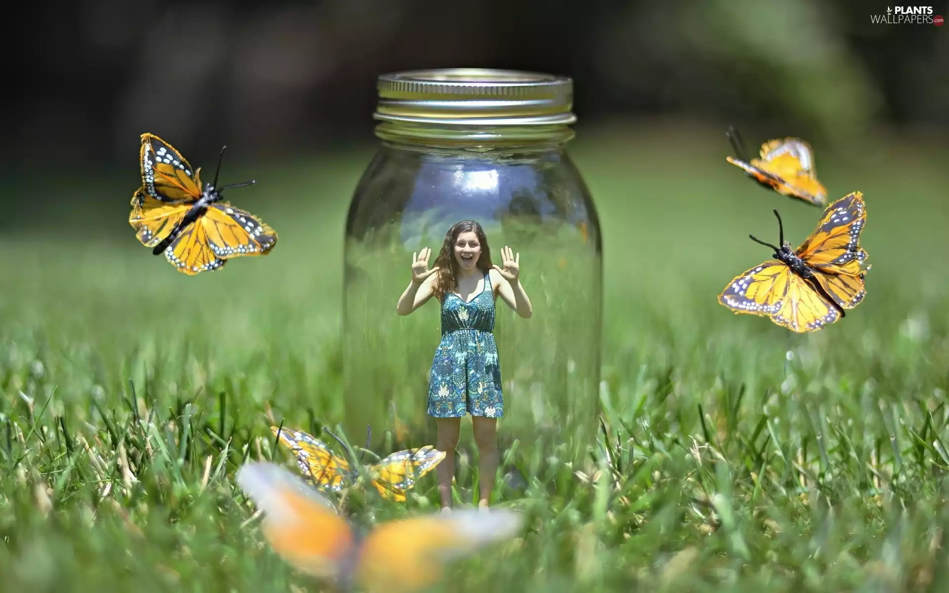 Women, jar, butterflies, grass, Meadow