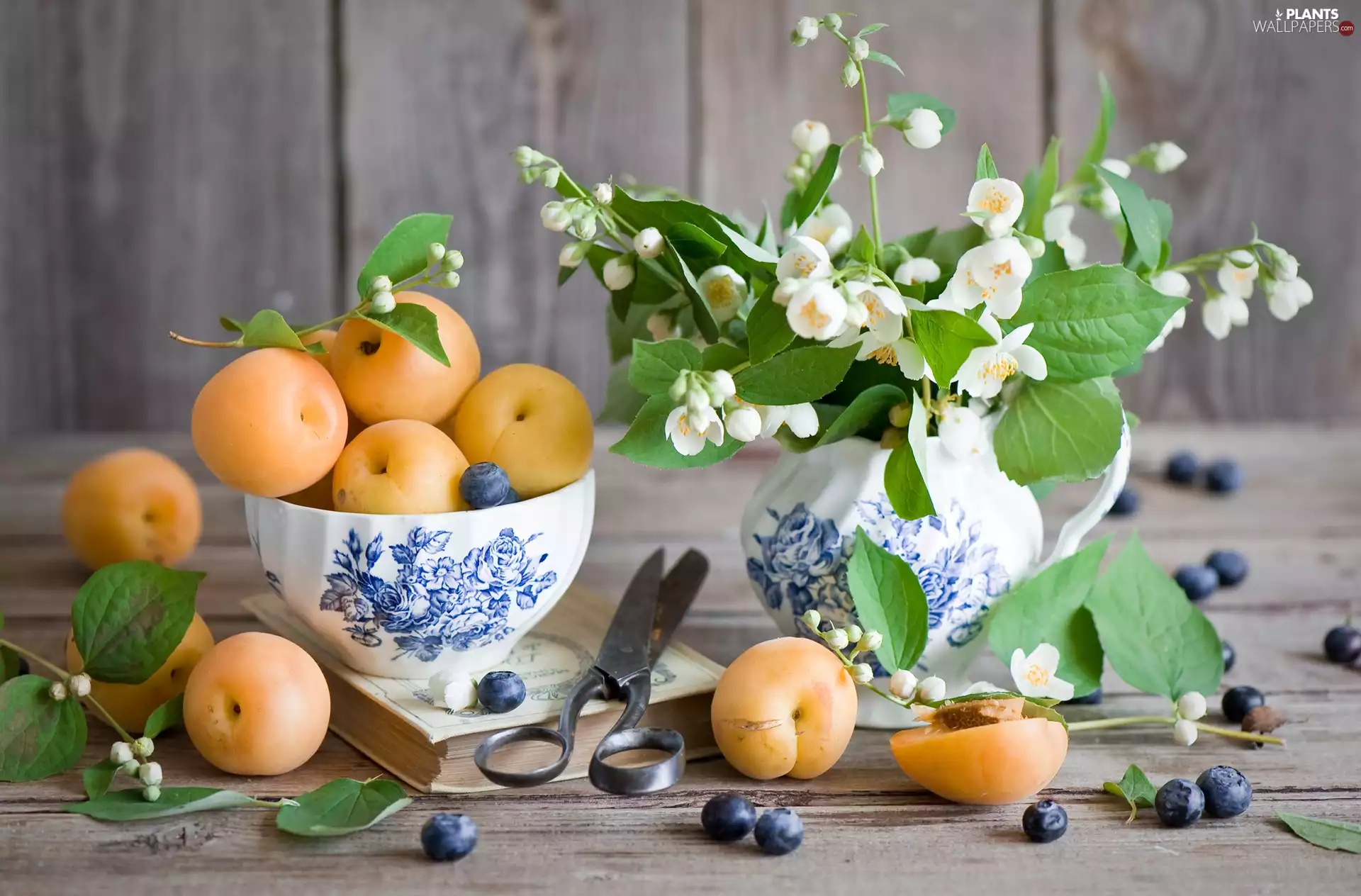 Flowers, Fruits, apricots, Jasmine