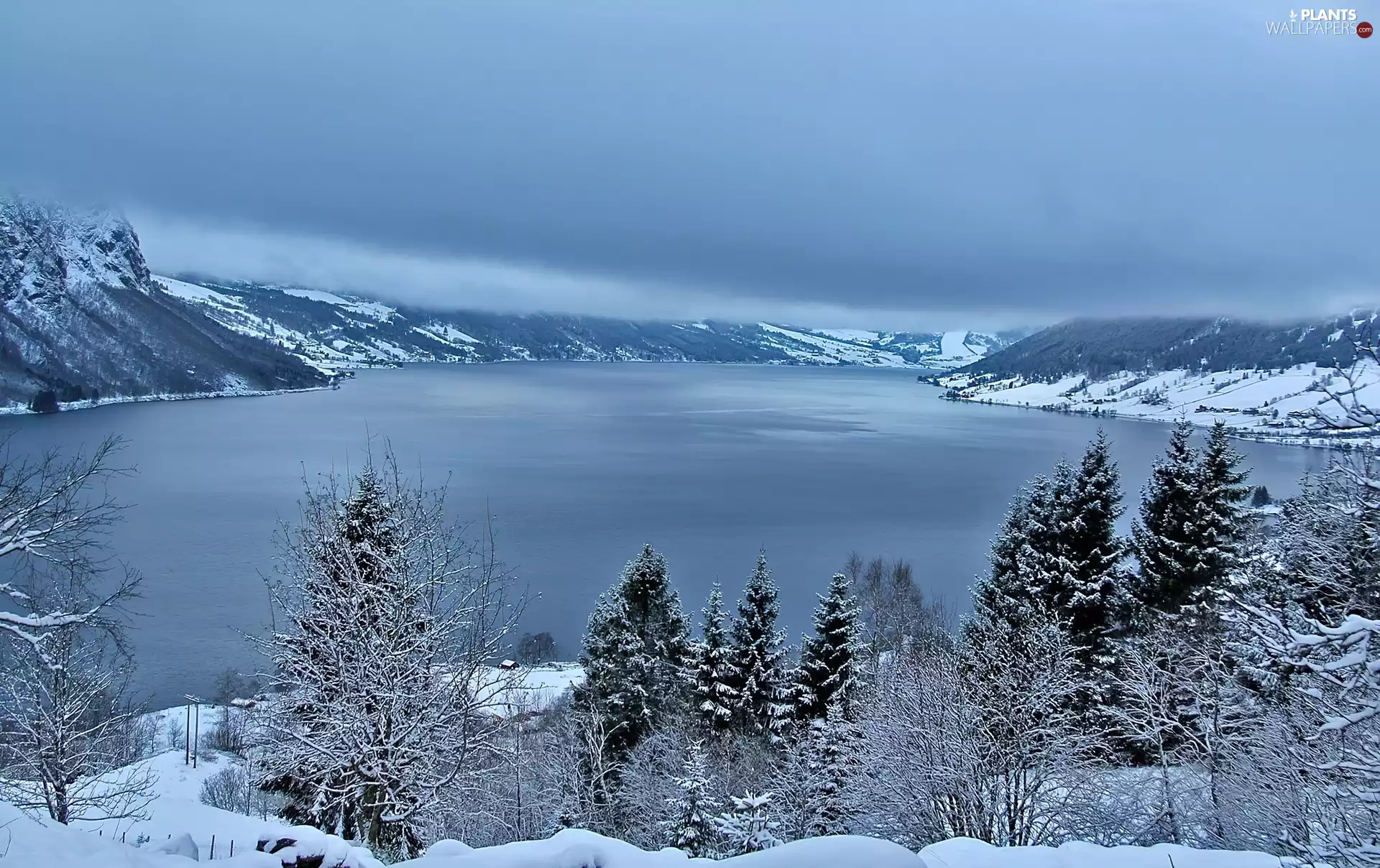 trees, Winter Lake, Jolstravatnet, Norway, viewes, Mountains