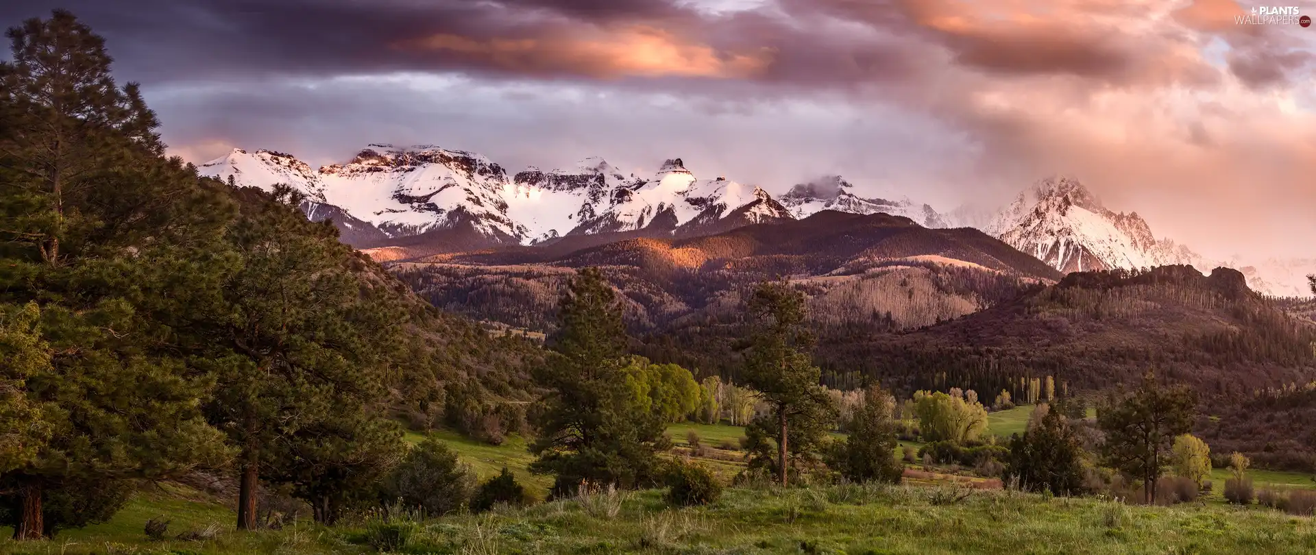 trees, viewes, State of Colorado, San Juan Mountains, The United States