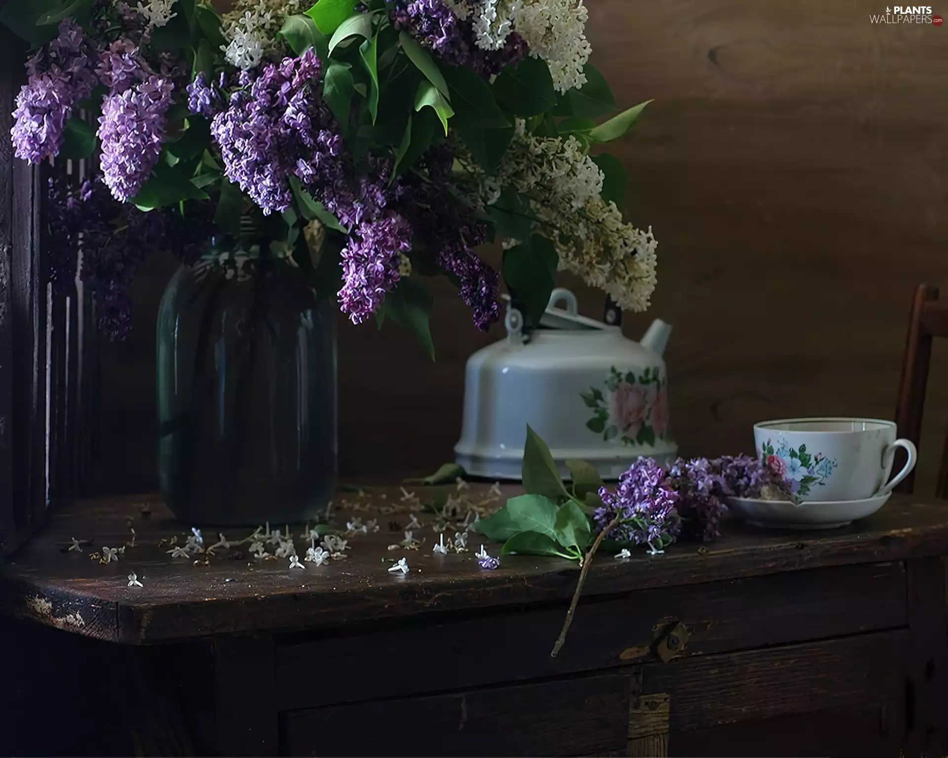 cup, bouquet, Lilacs, jug