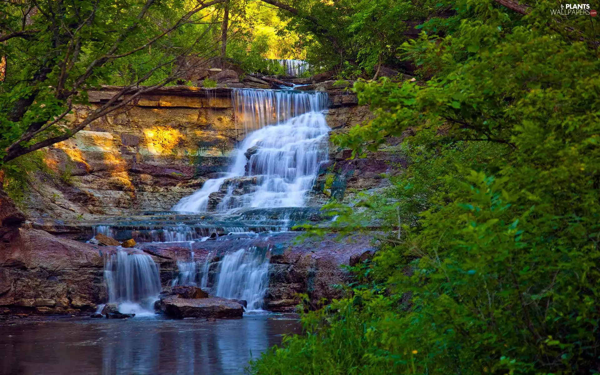 forest, State of Kansas, trees, Prather Creek Falls, The United States, rocks, viewes
