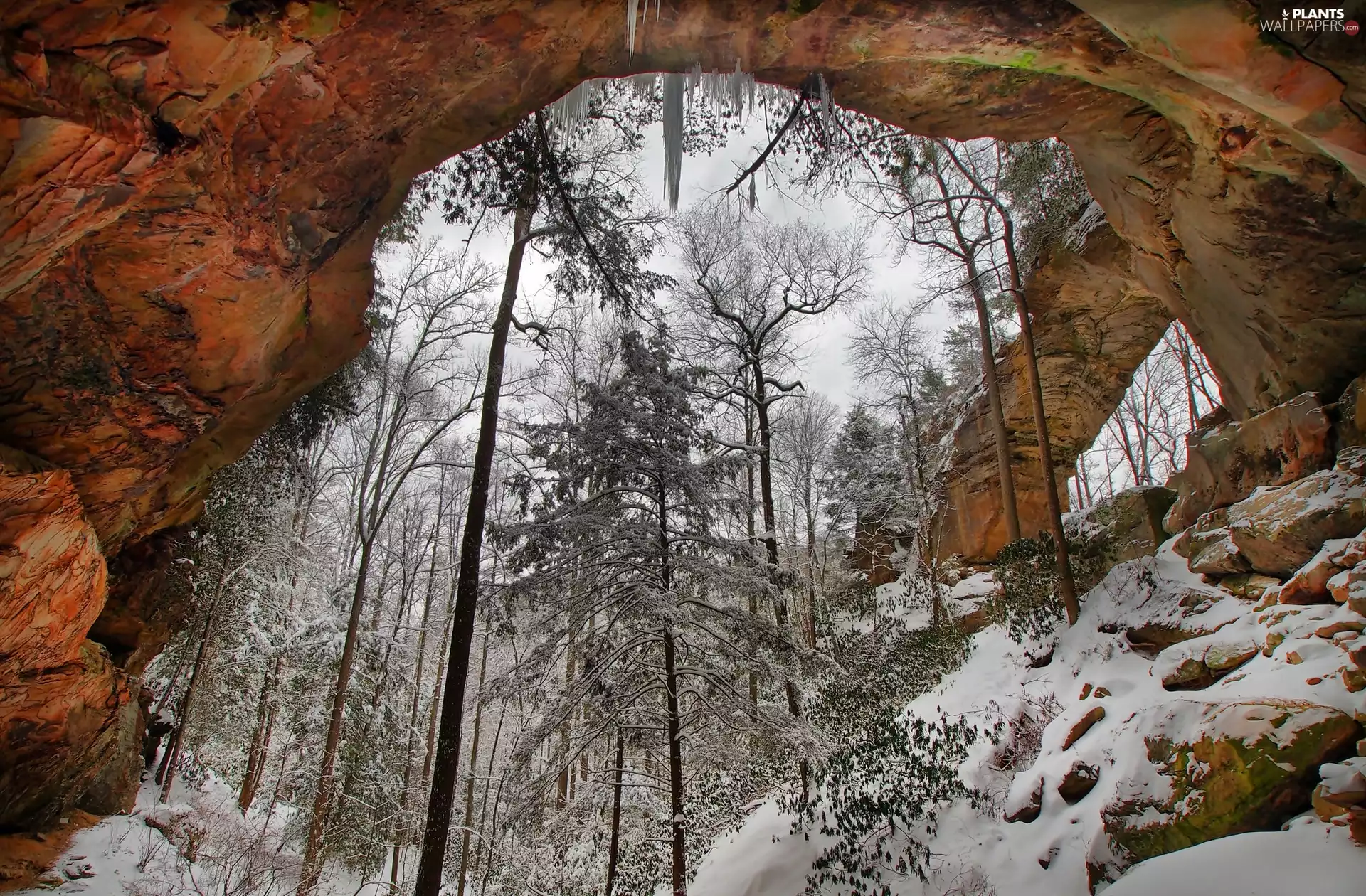 Red River Gorge Canyon, Bow, viewes, rocky, trees, Kentucky State, The United States, winter