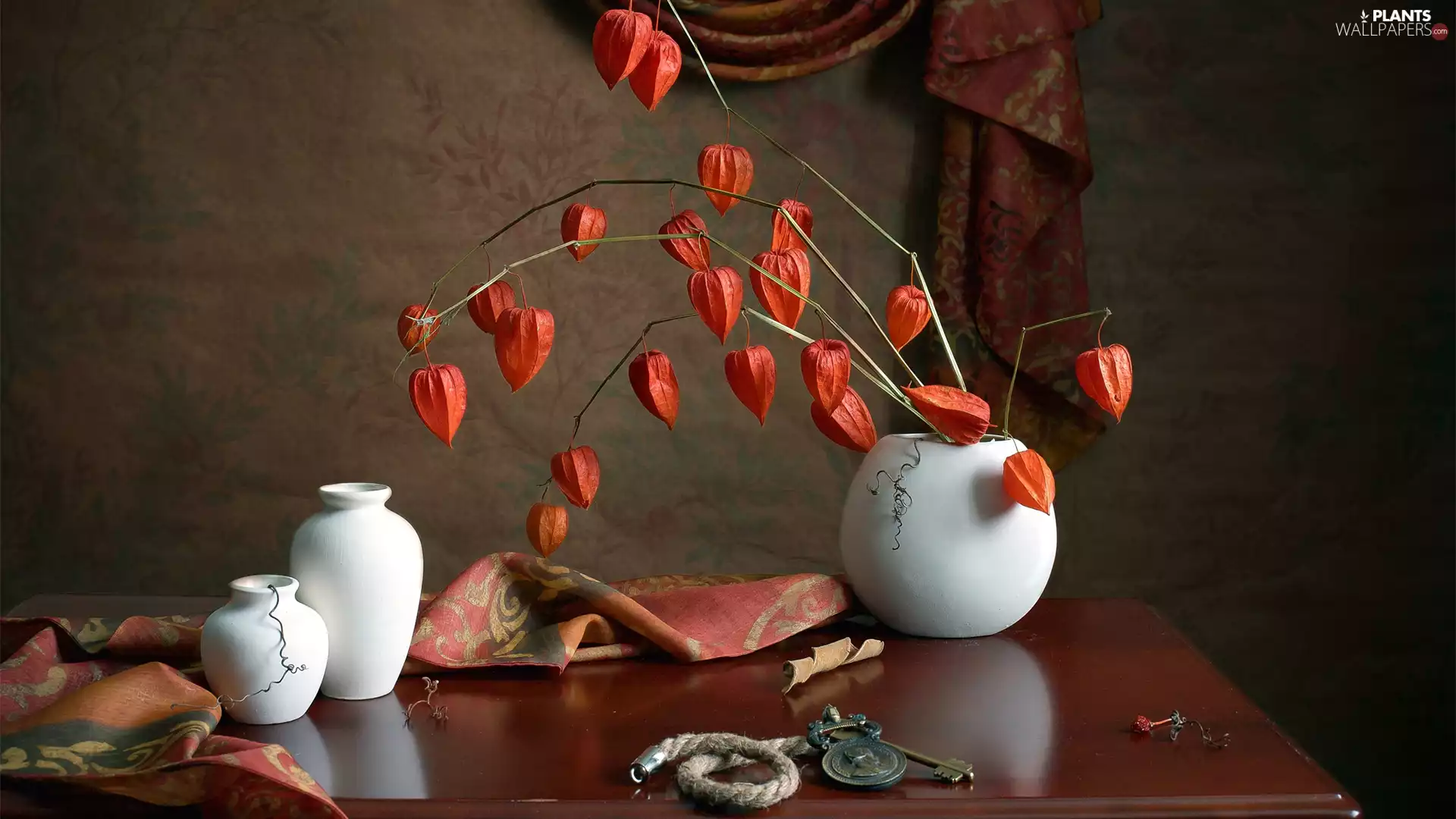 physalis, Key, White, vases, composition