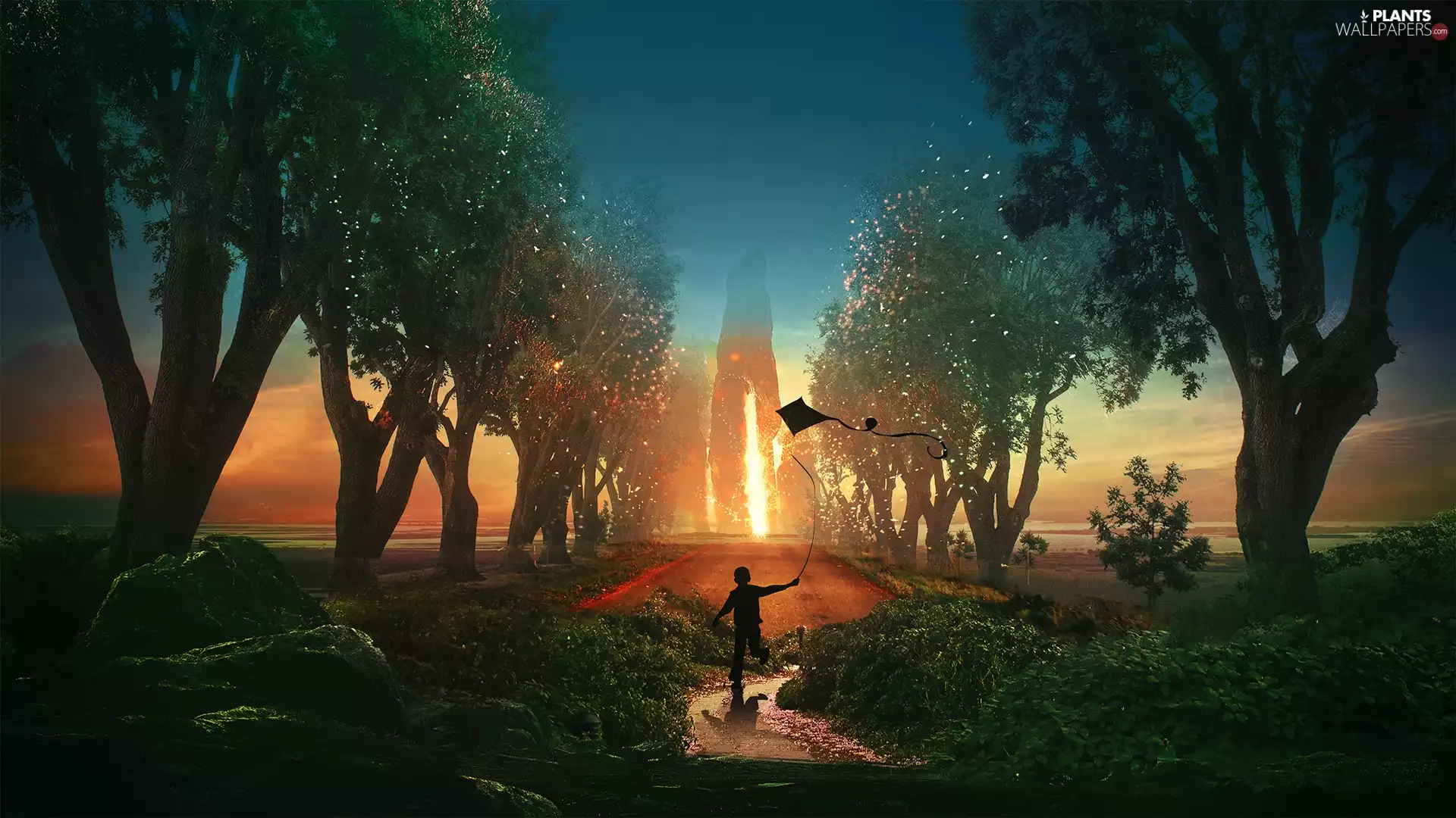 Kid, fantasy, kite, trees, flash, luminosity, ligh, sun, viewes