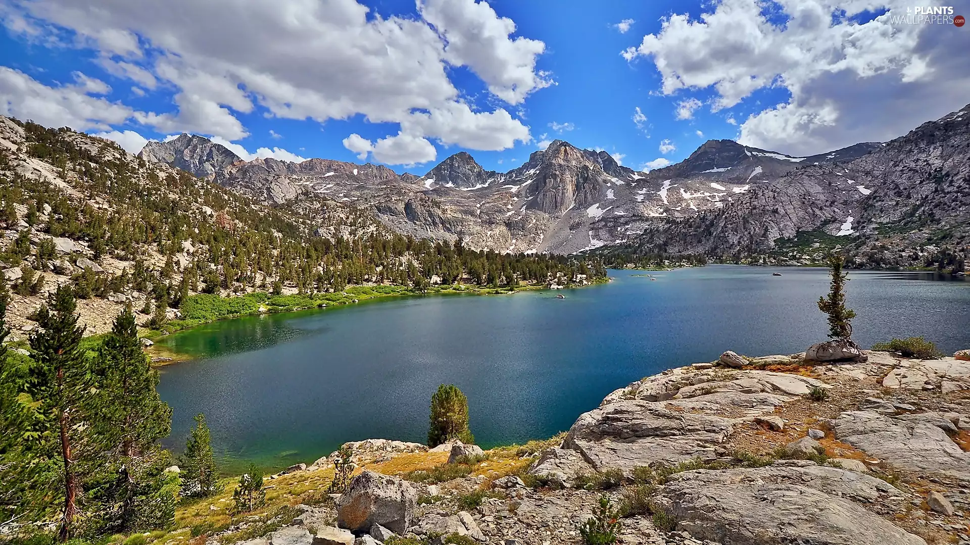 Canyon, national, lake, Kings, Park, Mountains, Spruces