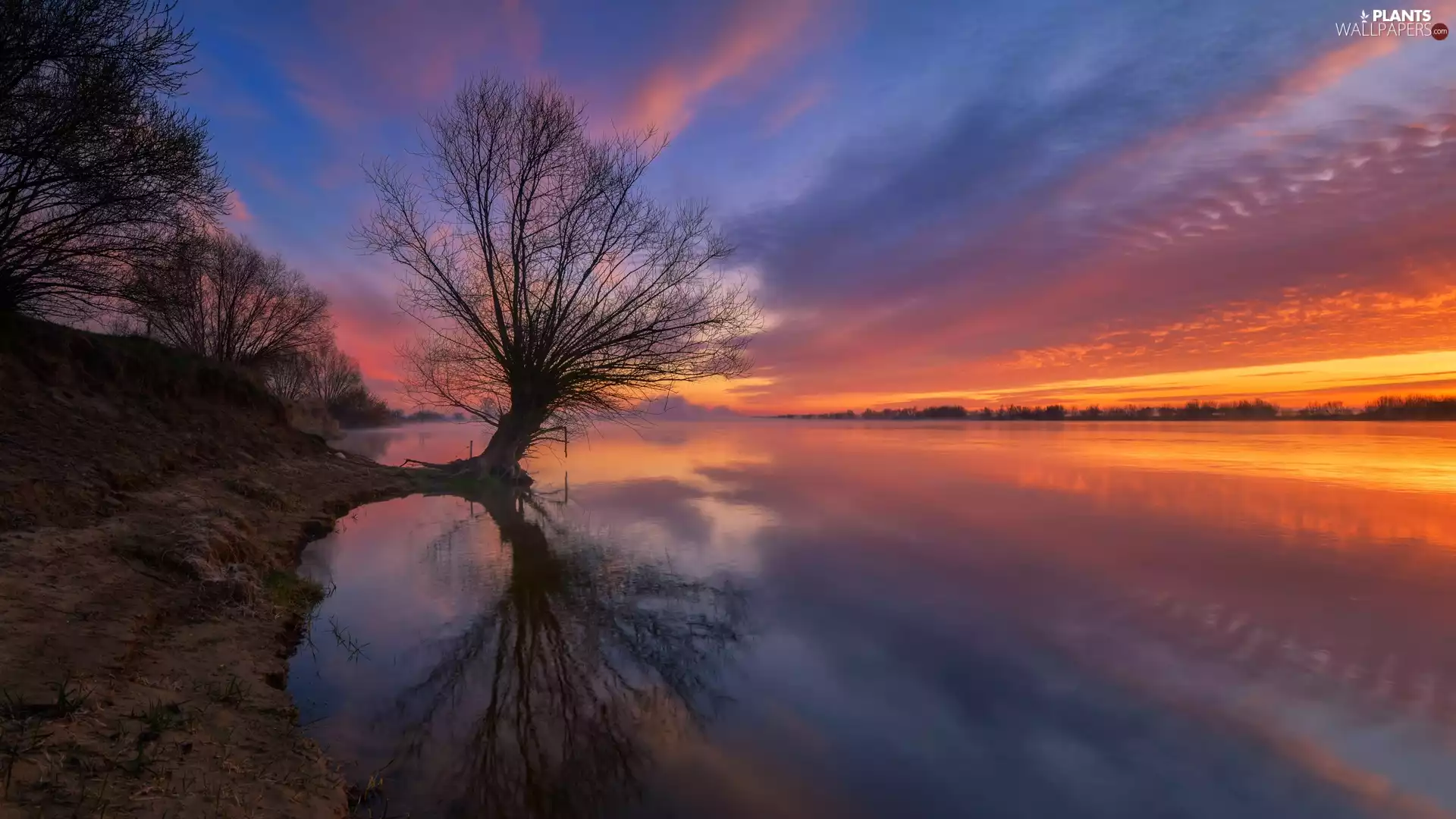 Vistula river, Poland, viewes, Great Sunsets, trees, Kociewie