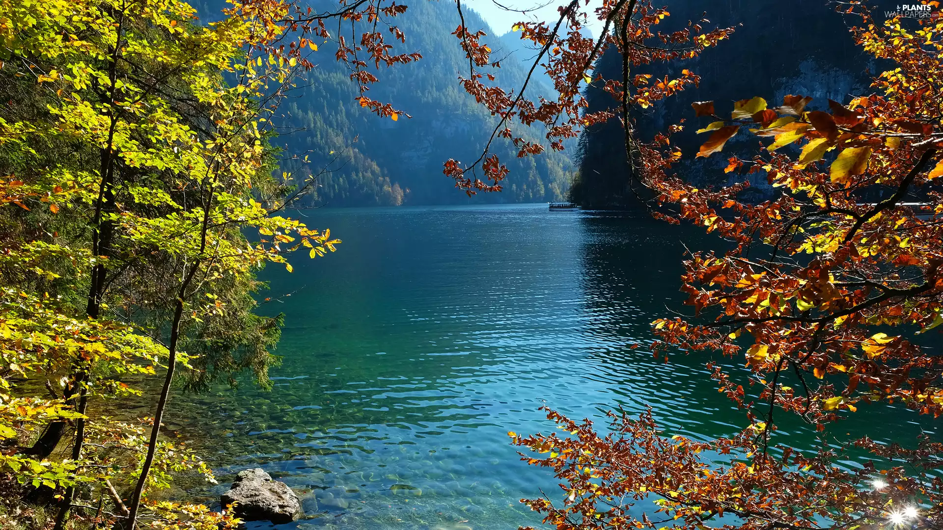Ship, trees, Germany, viewes, Bavaria, Berchtesgaden National Park, Lake Koenigssee, branch pics