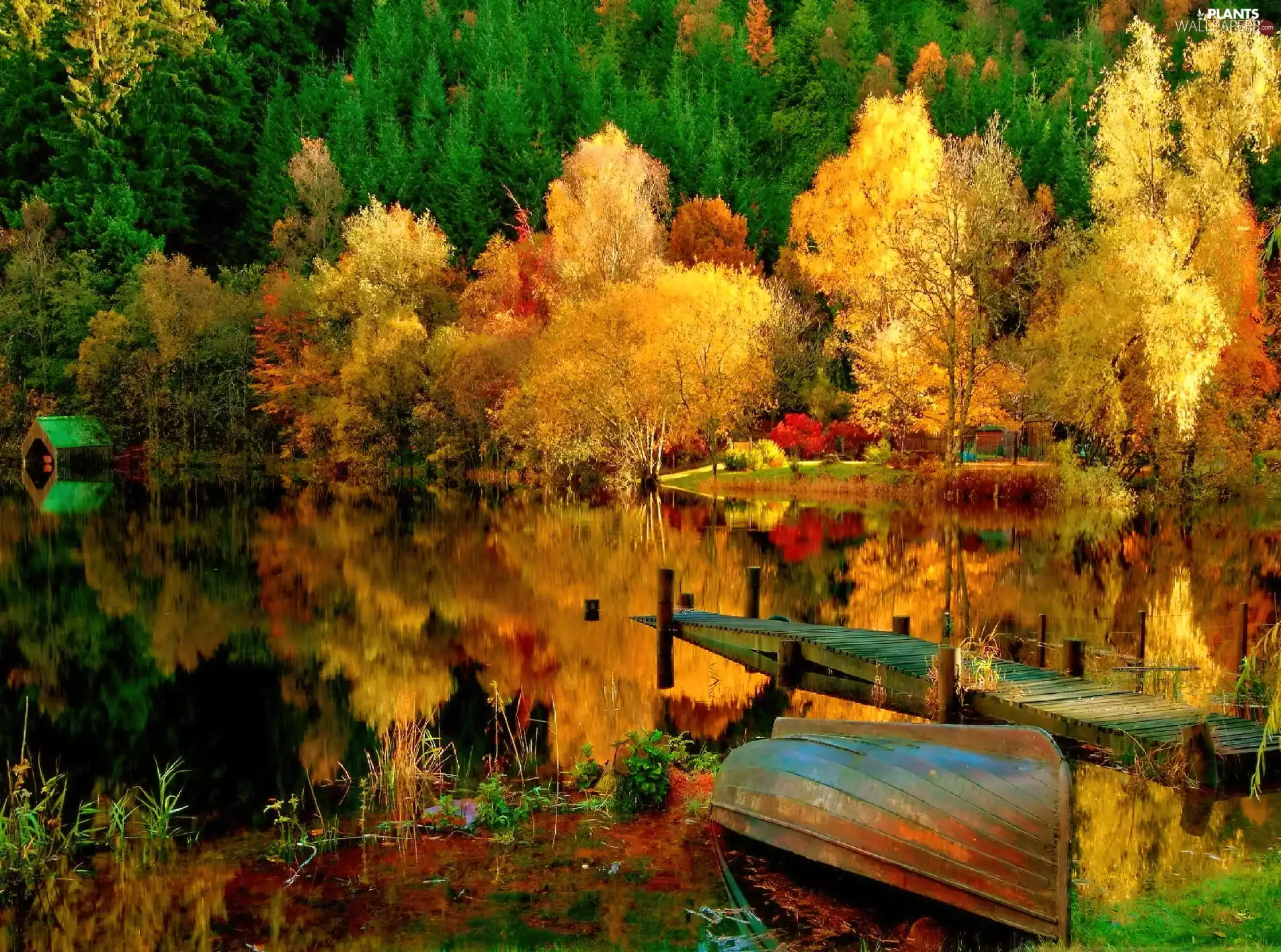 lake, Lajb, trees, viewes, color