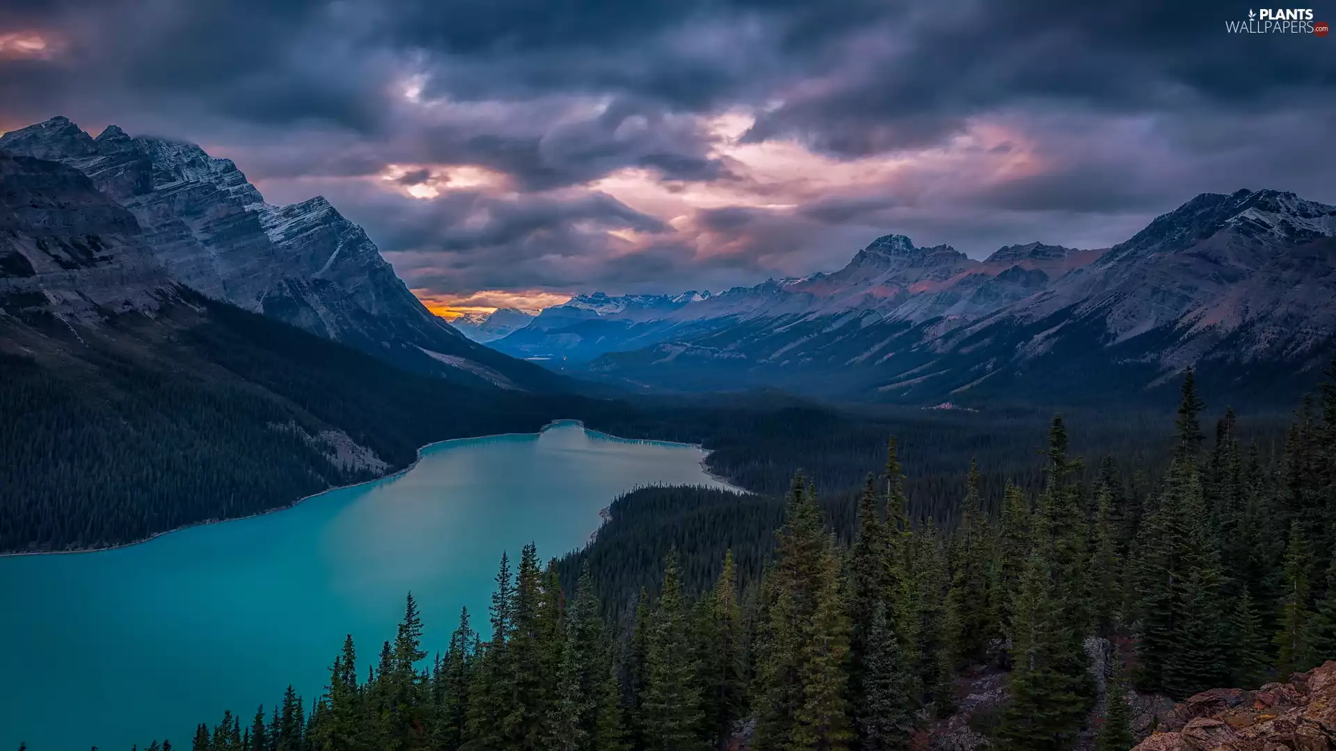 dark, Sunrise, clouds, forest, Mountains, Province of Alberta, viewes, Banff National Park, Canada, trees, rocks, Peyto Lake