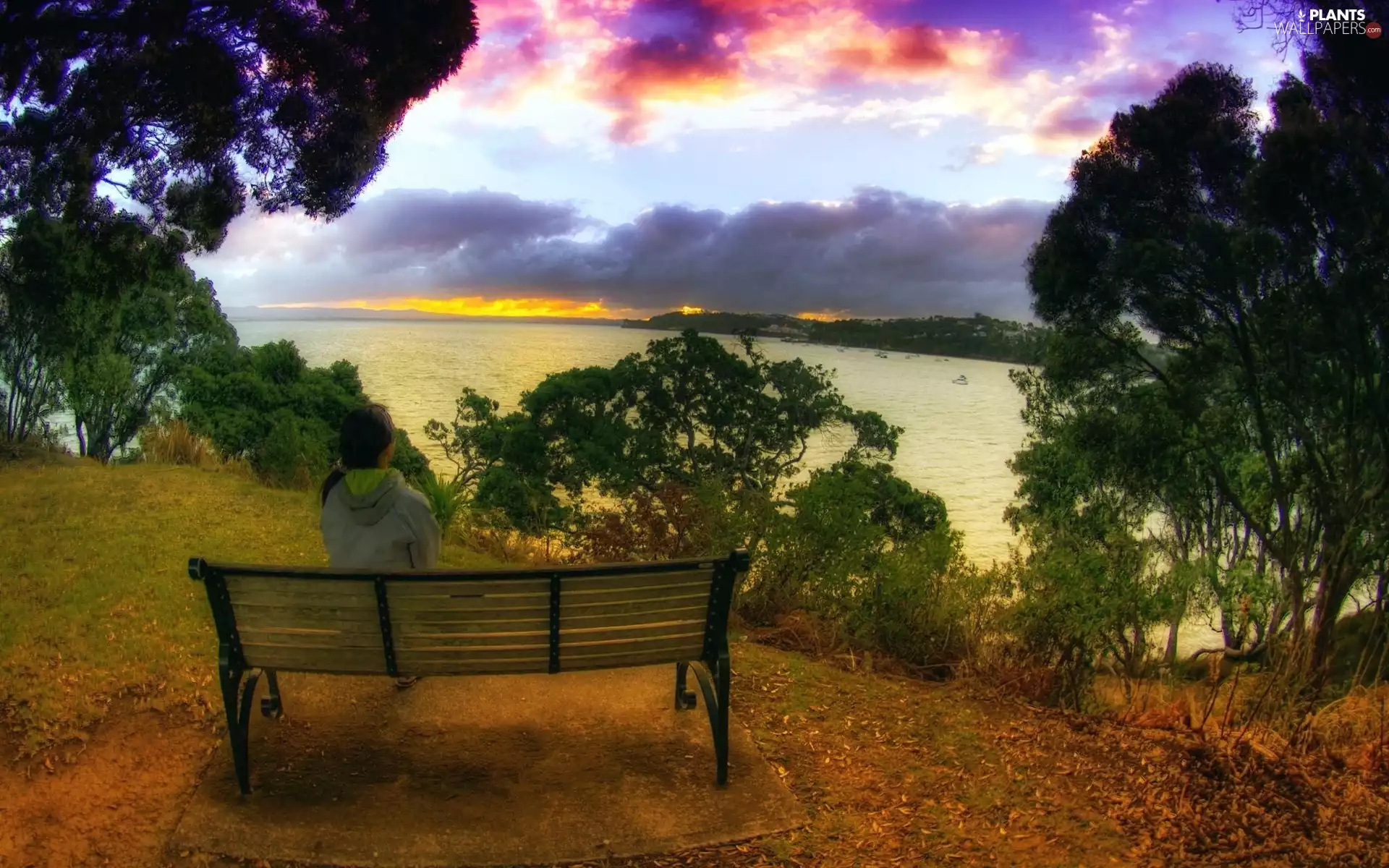 viewes, lake, Bench, trees, Women