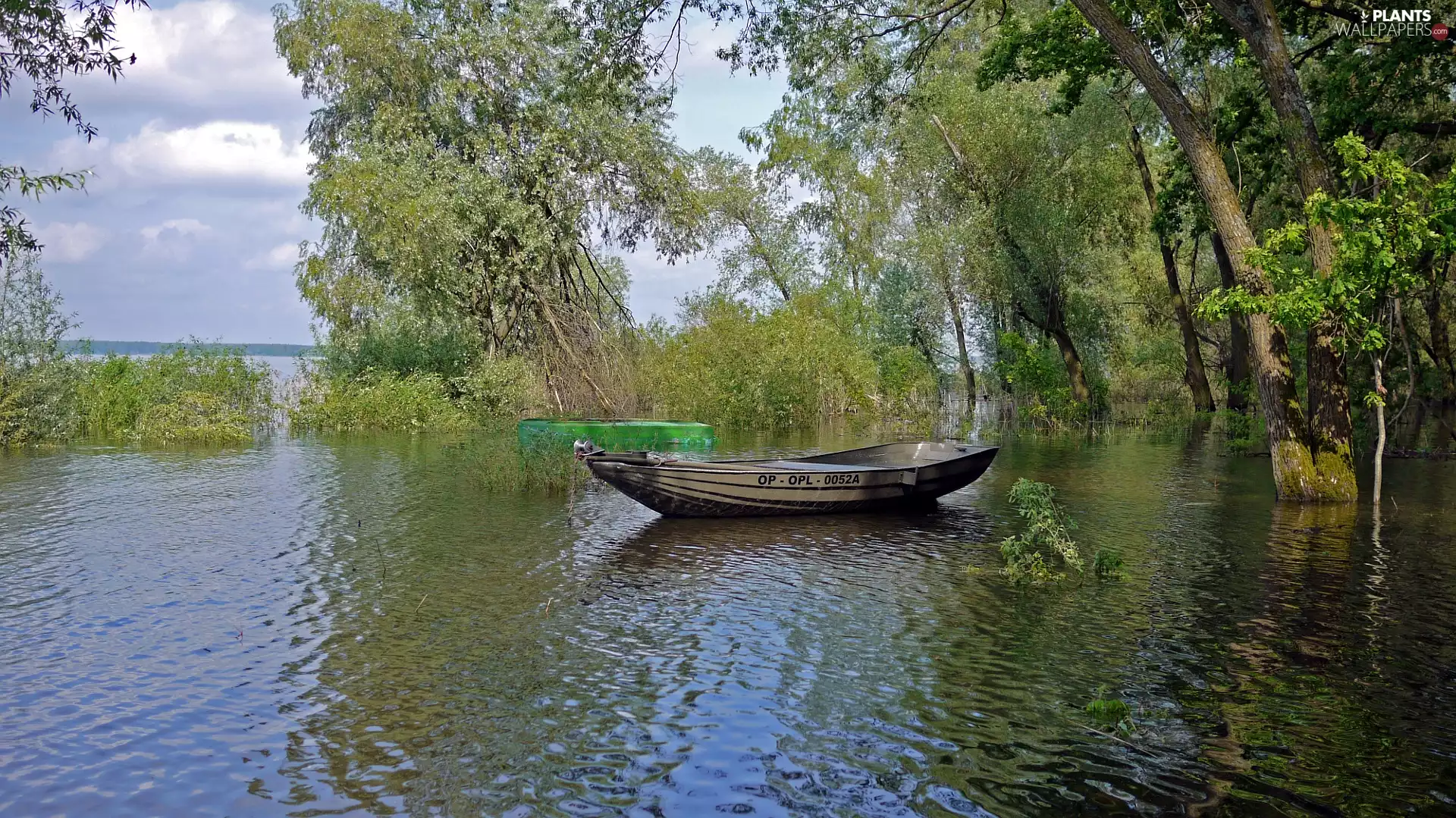 Boat, trees, viewes, lake
