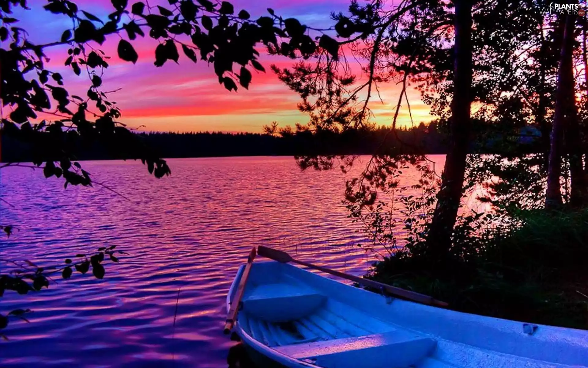 Boat, trees, viewes, lake