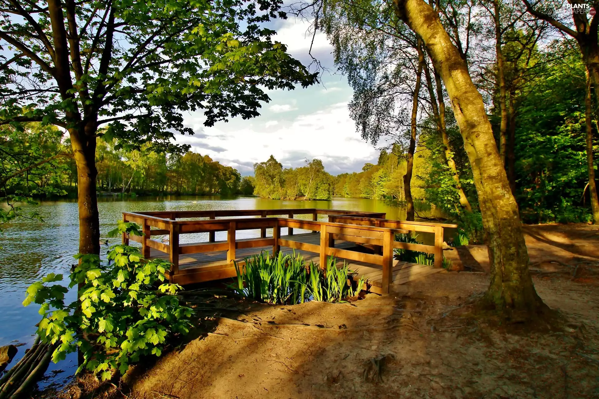 viewes, light breaking through sky, Platform, trees, lake