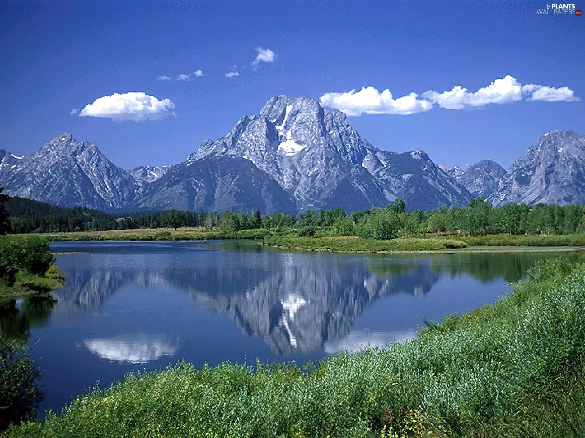 lake, Mountains, Bush